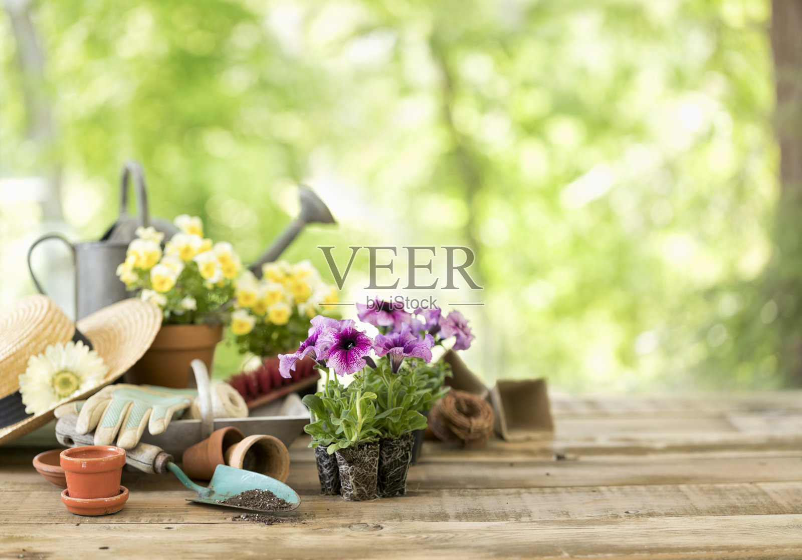 园林设备和春季花卉背景照片摄影图片