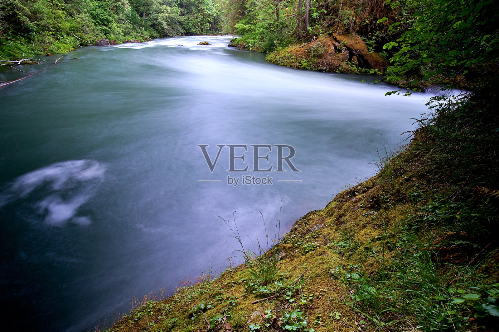 Duckabush河照片摄影图片