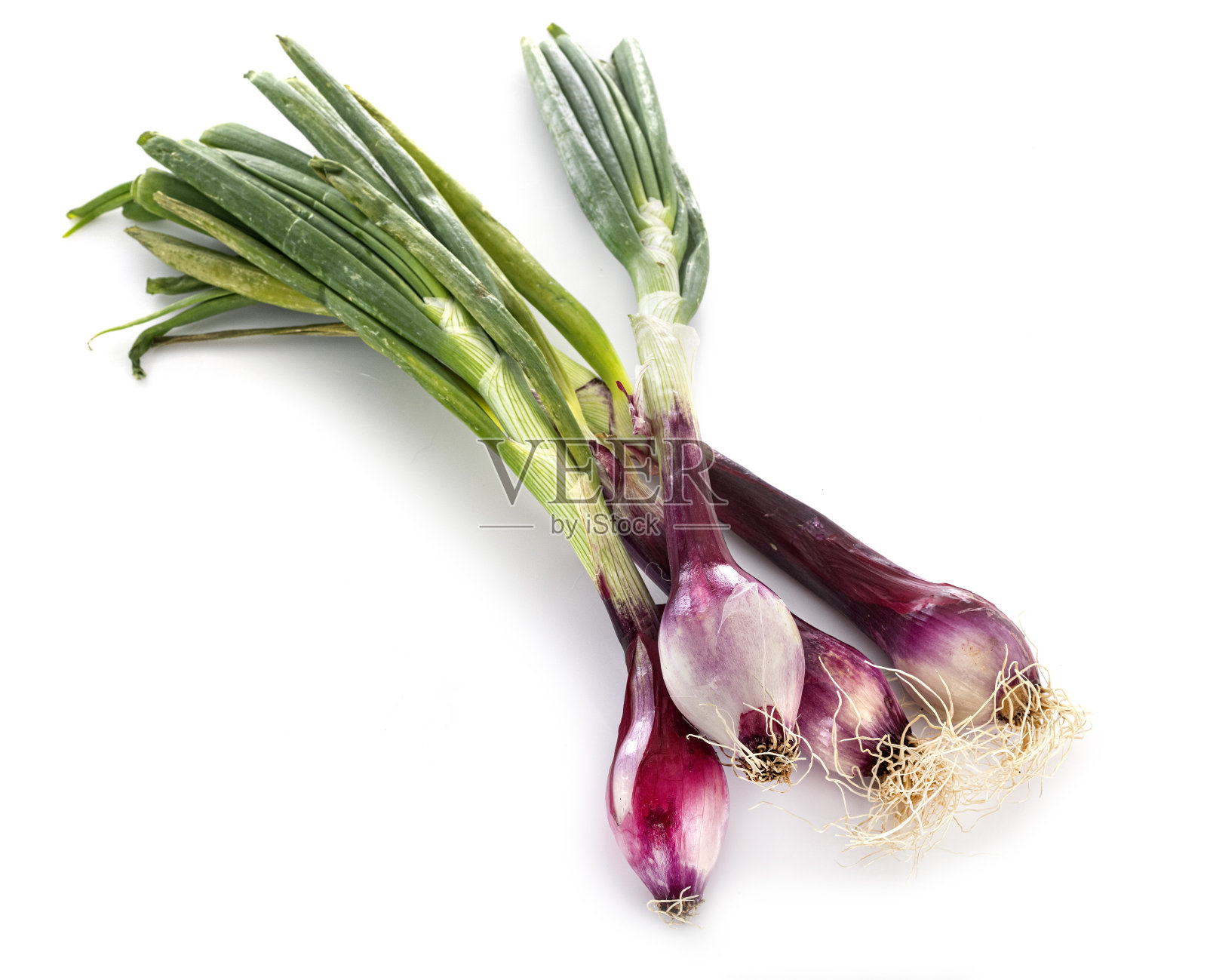 小红洋葱照片摄影图片