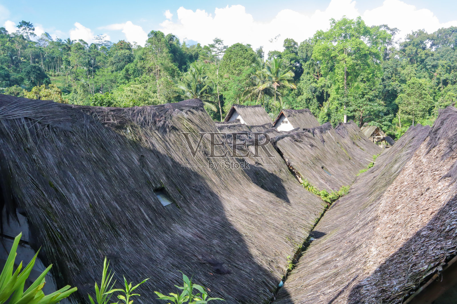 棕榈纤维屋顶照片摄影图片