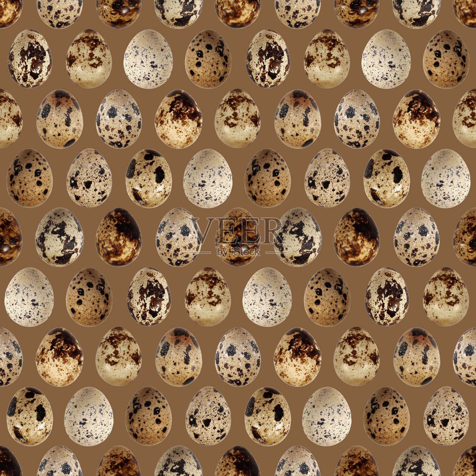 鹌鹑蛋鸟食厨房照片无缝图案纹理背景照片摄影图片
