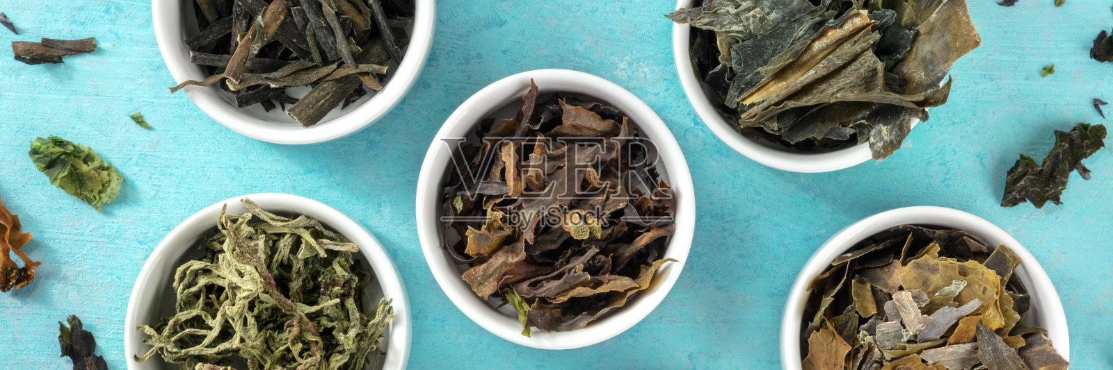 海菜全景在一个充满活力的蓝色背景照片摄影图片