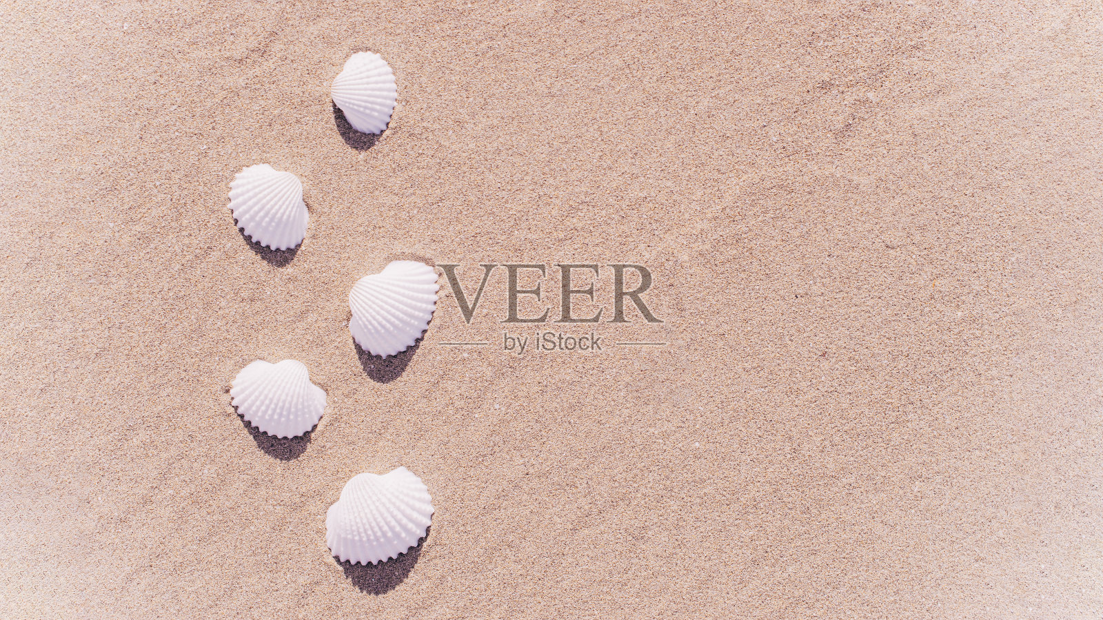 贝壳与贝壳隔离，海星在沙滩上的背景。假期背景与空间的文本。照片摄影图片