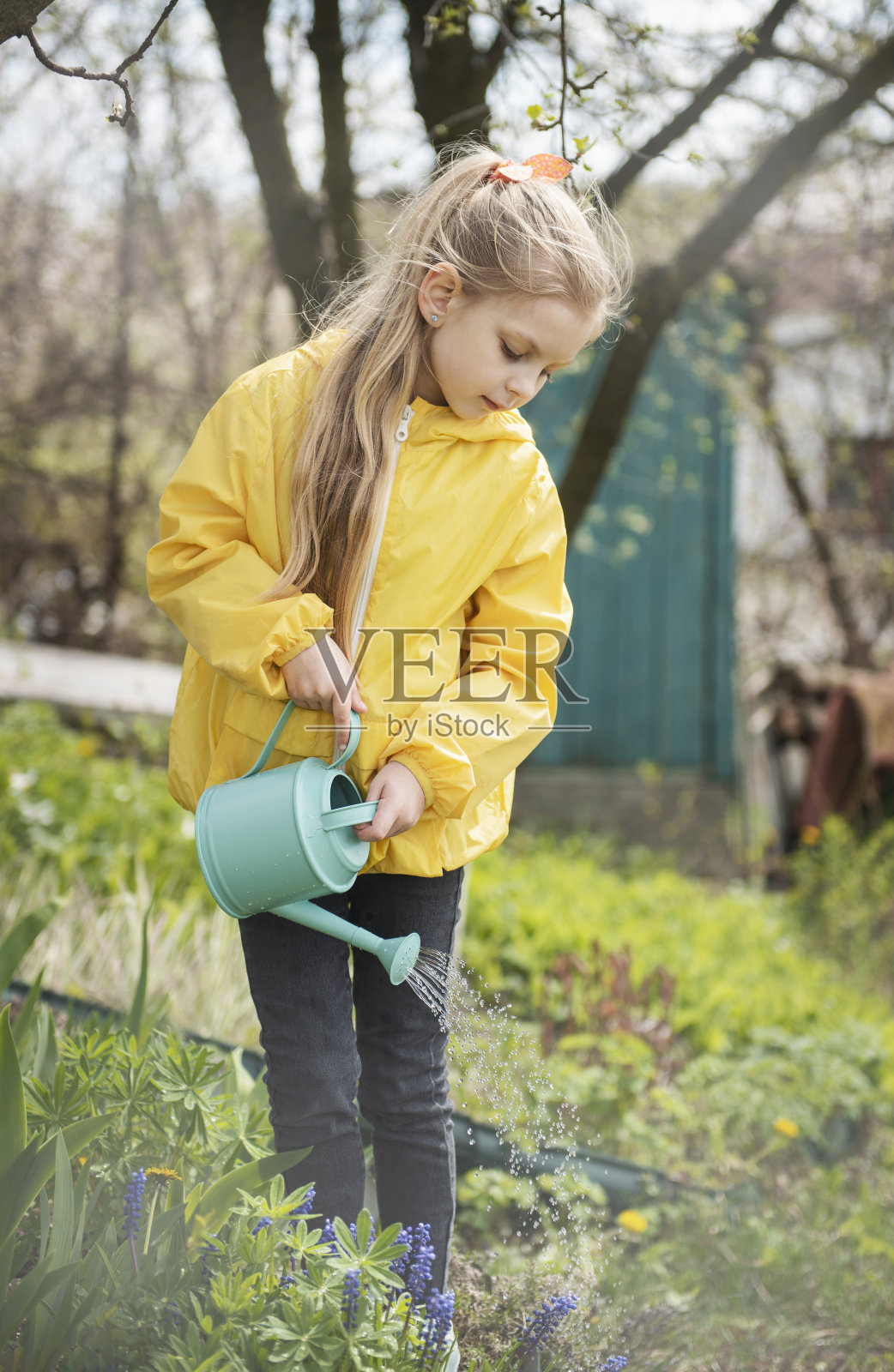 小女孩在花园里用花盆浇水照片摄影图片