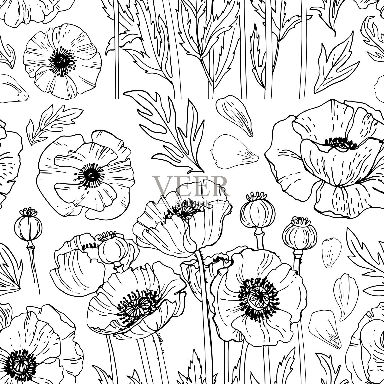 罂粟图案花向量线绘图。在白色背景上用黑线画的。为纪念献上鲜花。纪念日。插画图片素材