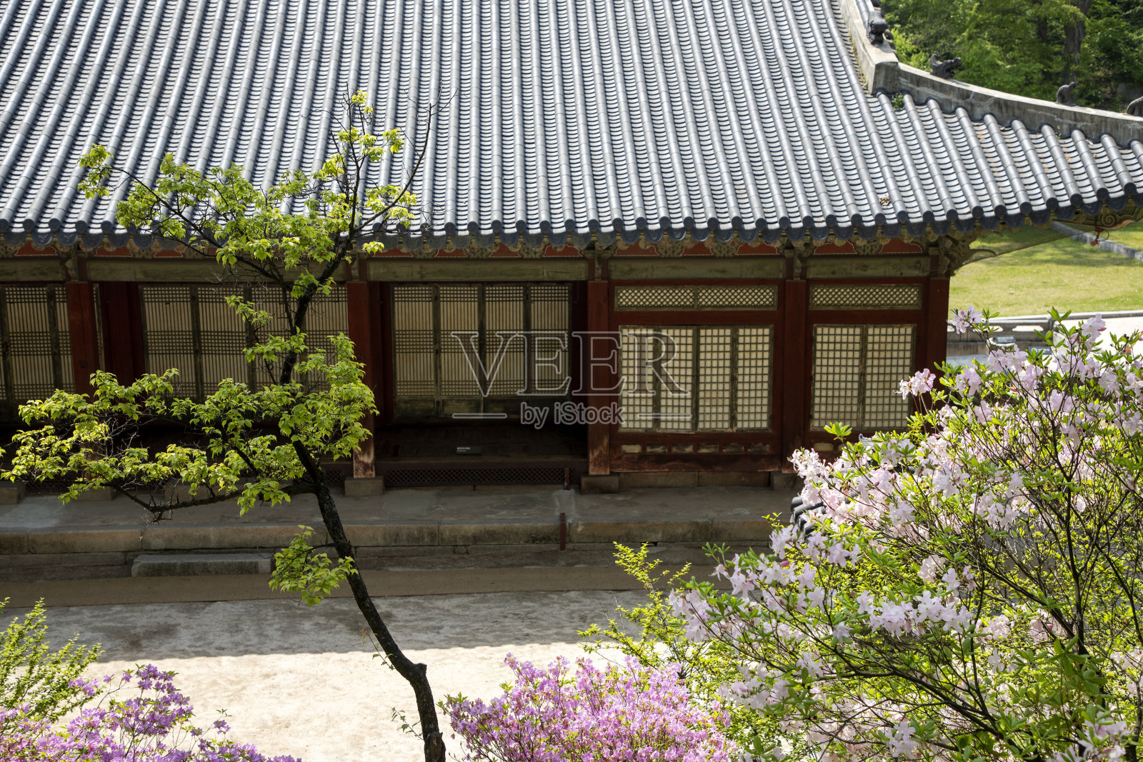 长庆宫的春天照片摄影图片