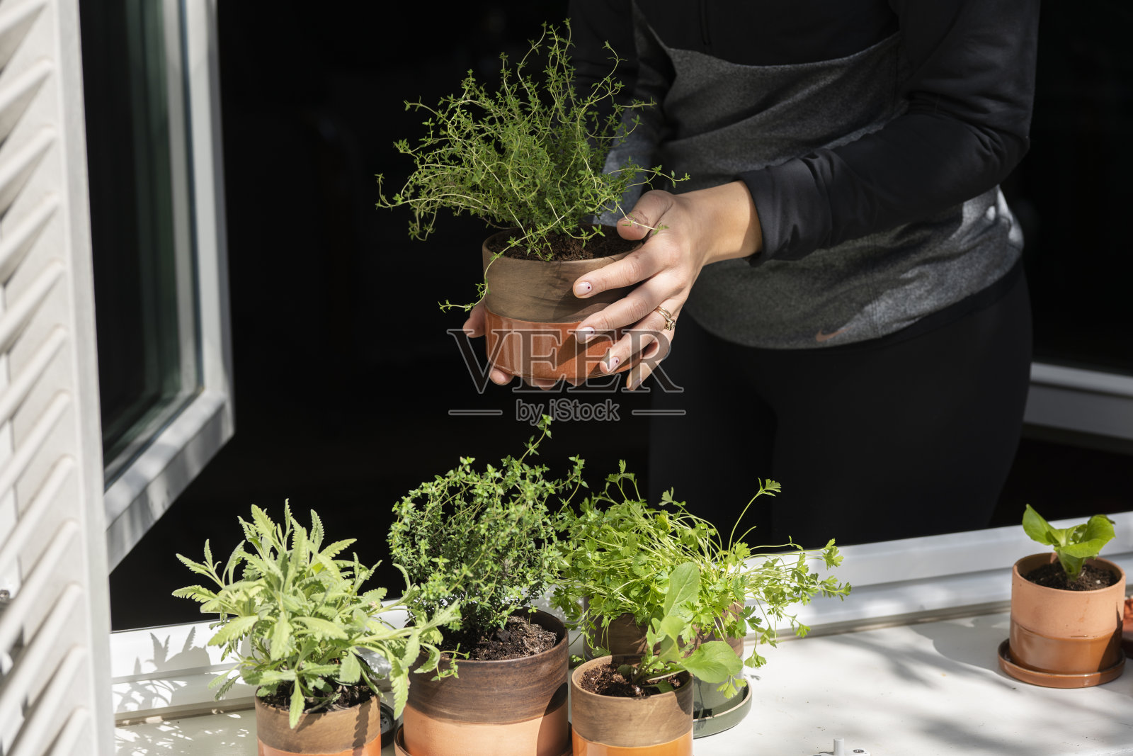 美美的照片摄影图片