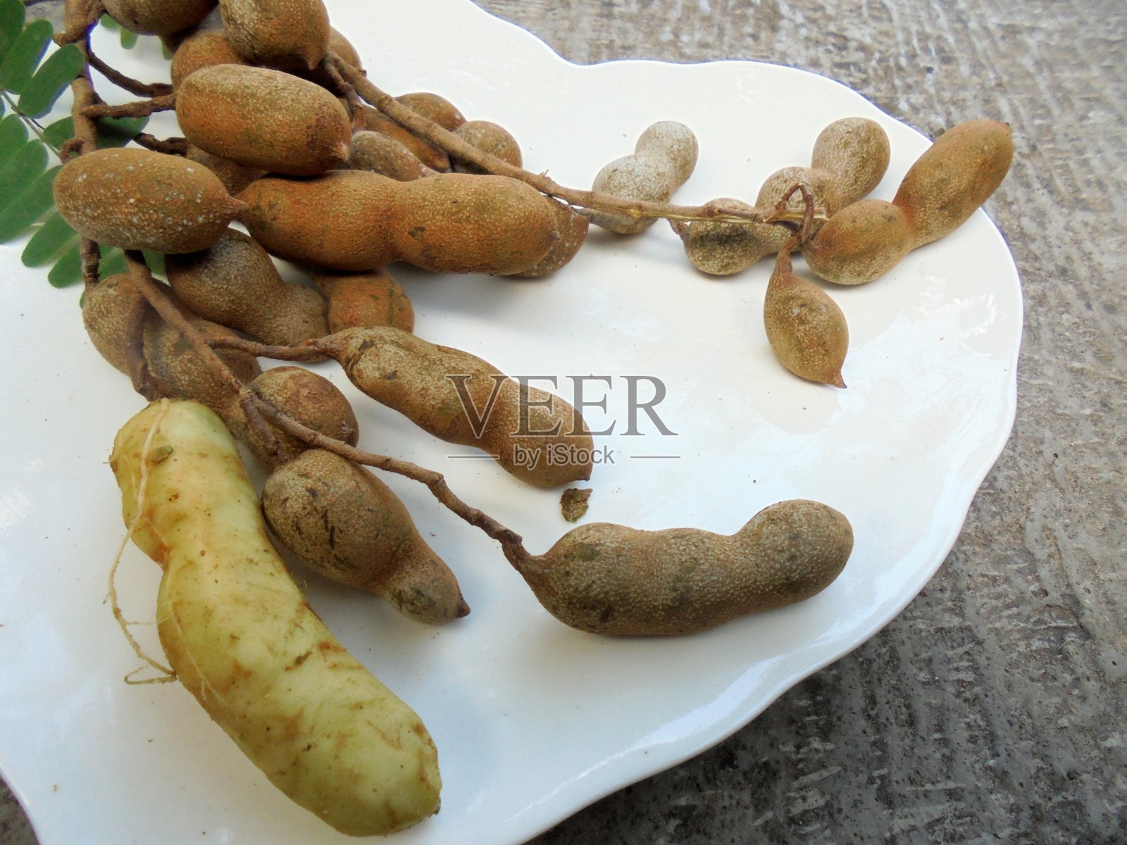 罗望子照片摄影图片