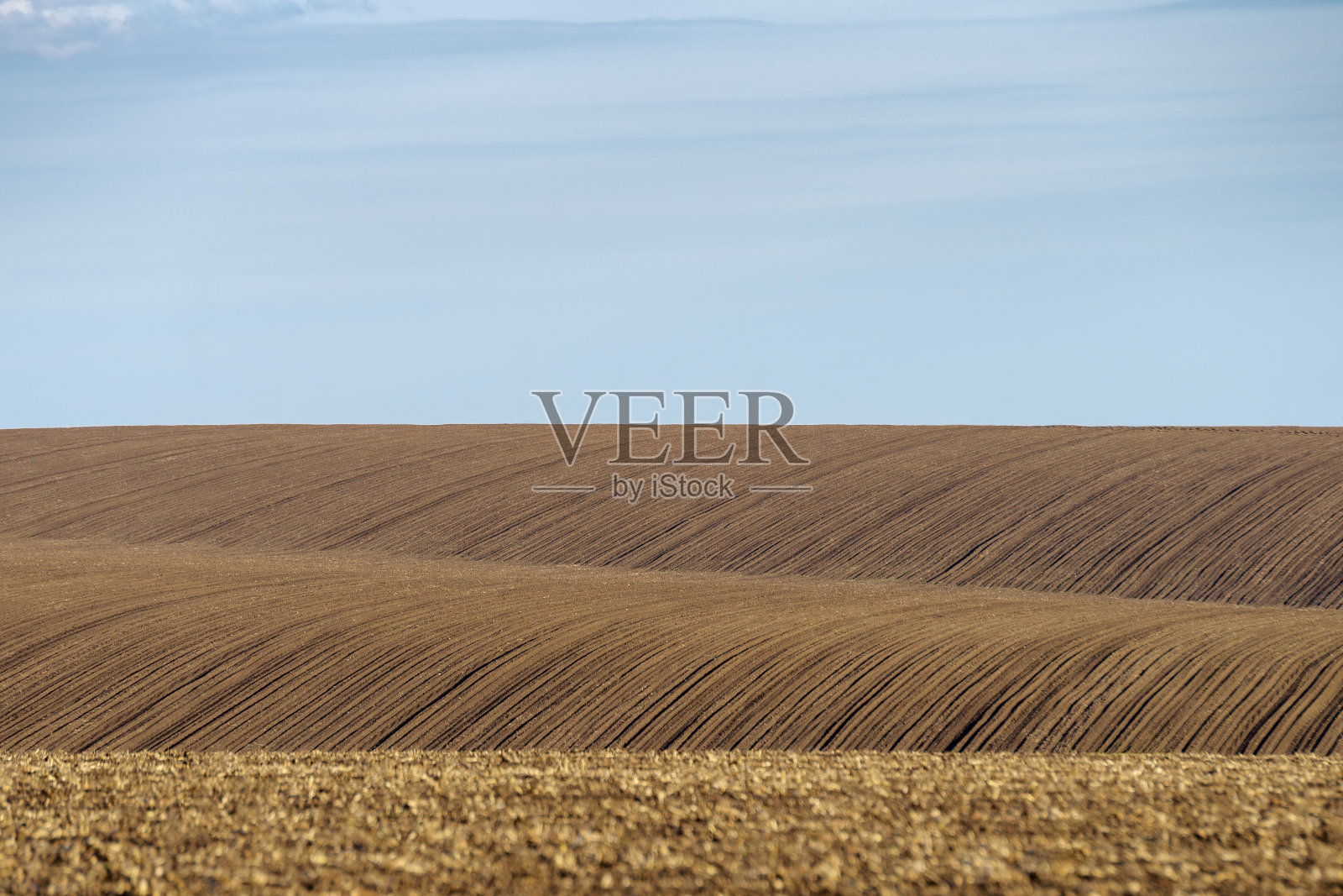 乌克兰丘陵上的耕地照片摄影图片
