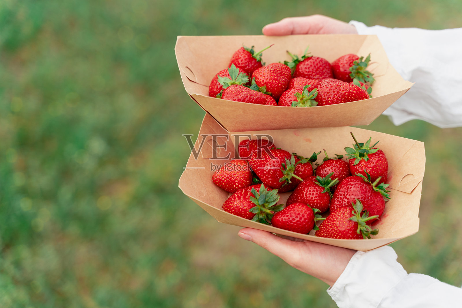 草莓在一次性生态盘在女人的手中绿色背景照片摄影图片