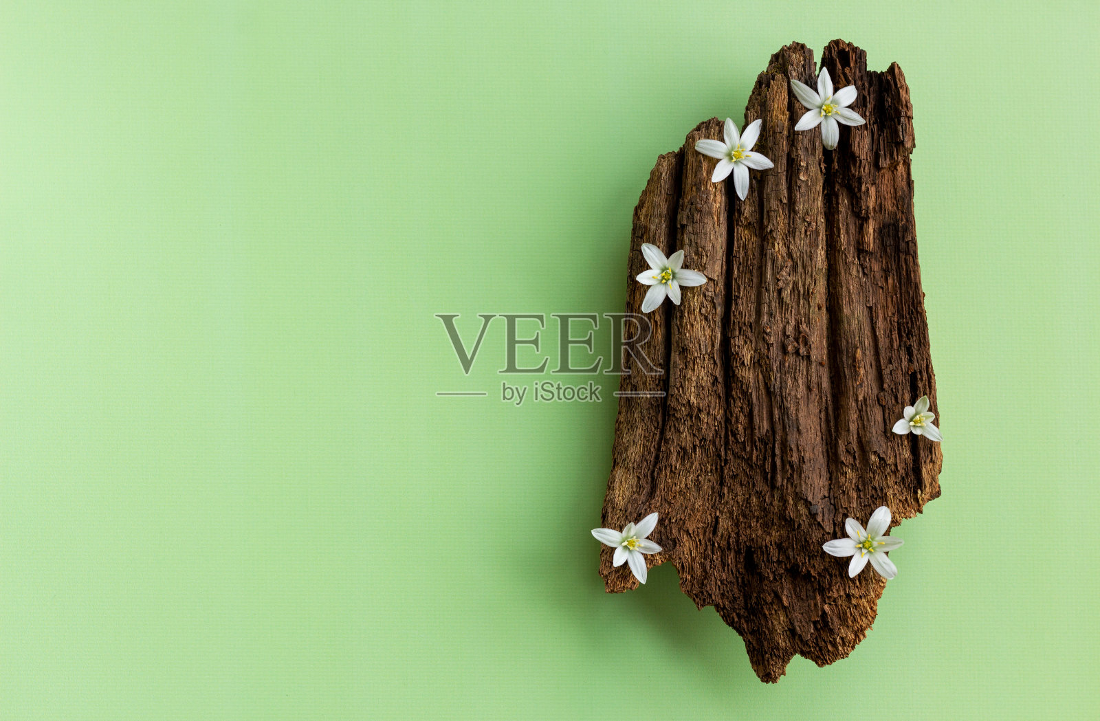 平铺的树皮和花的创作构图与复制空间。照片摄影图片