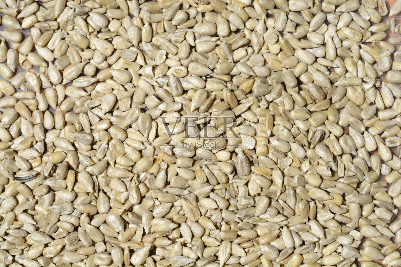 向日葵的种子照片摄影图片