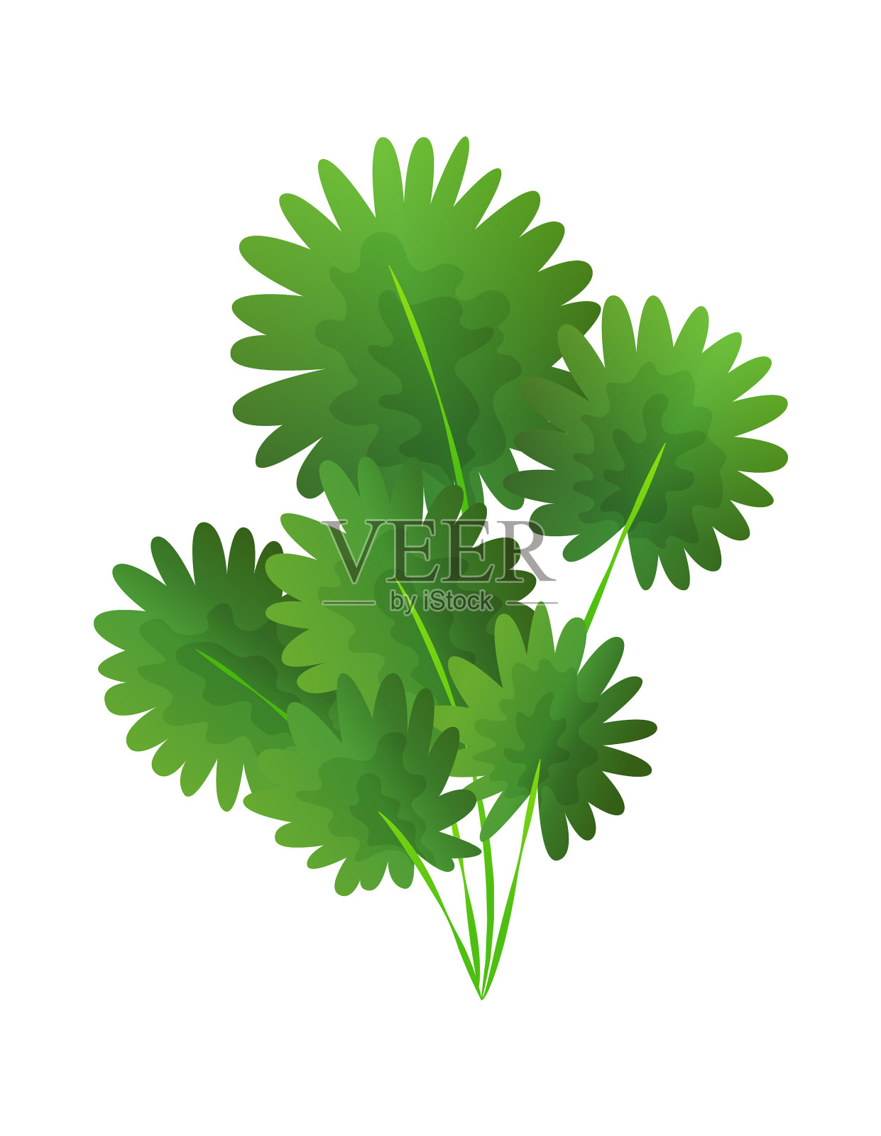 草或灌木绿色逼真的春天草设计元素图片