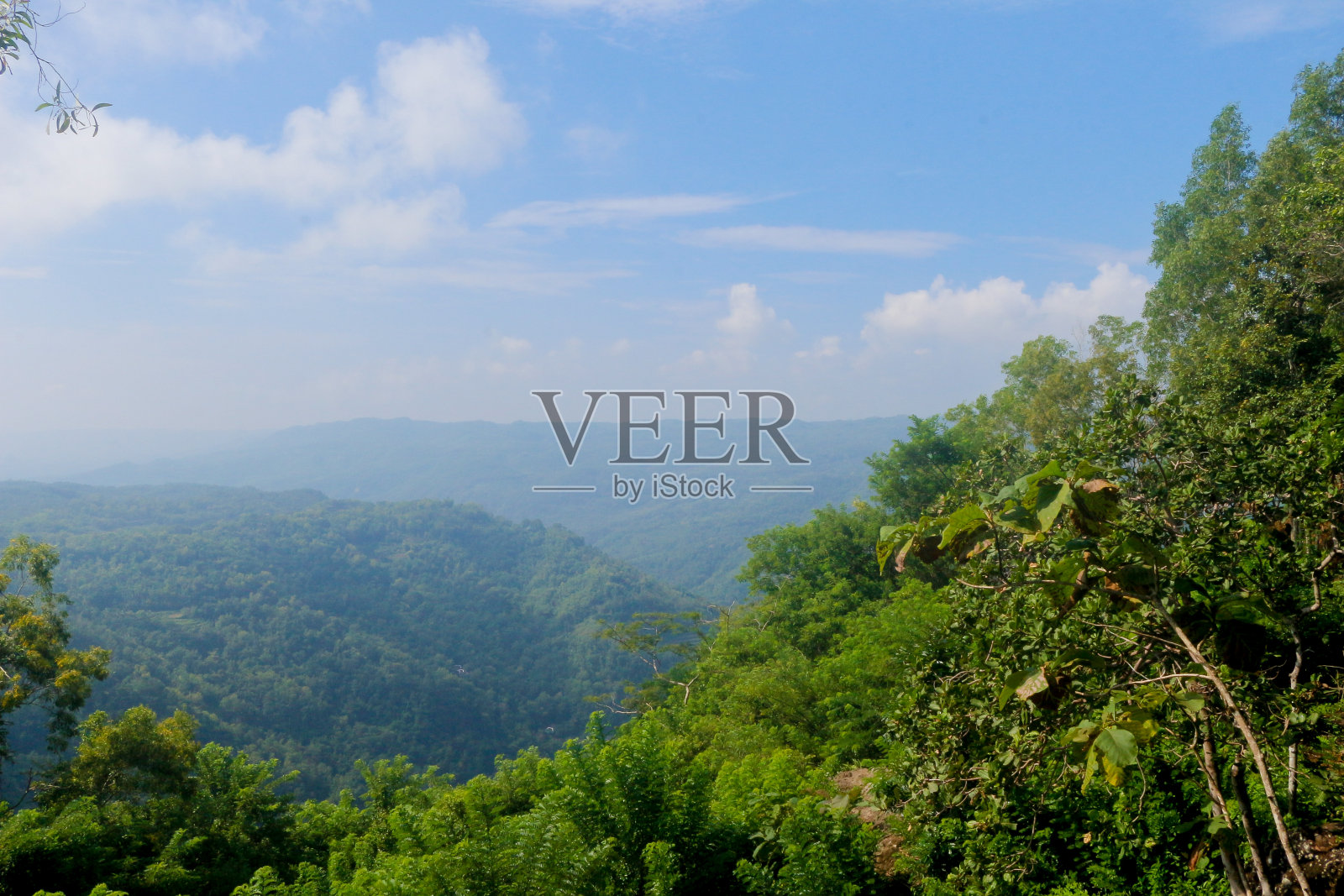 风景，曼古南果园的顶峰照片摄影图片