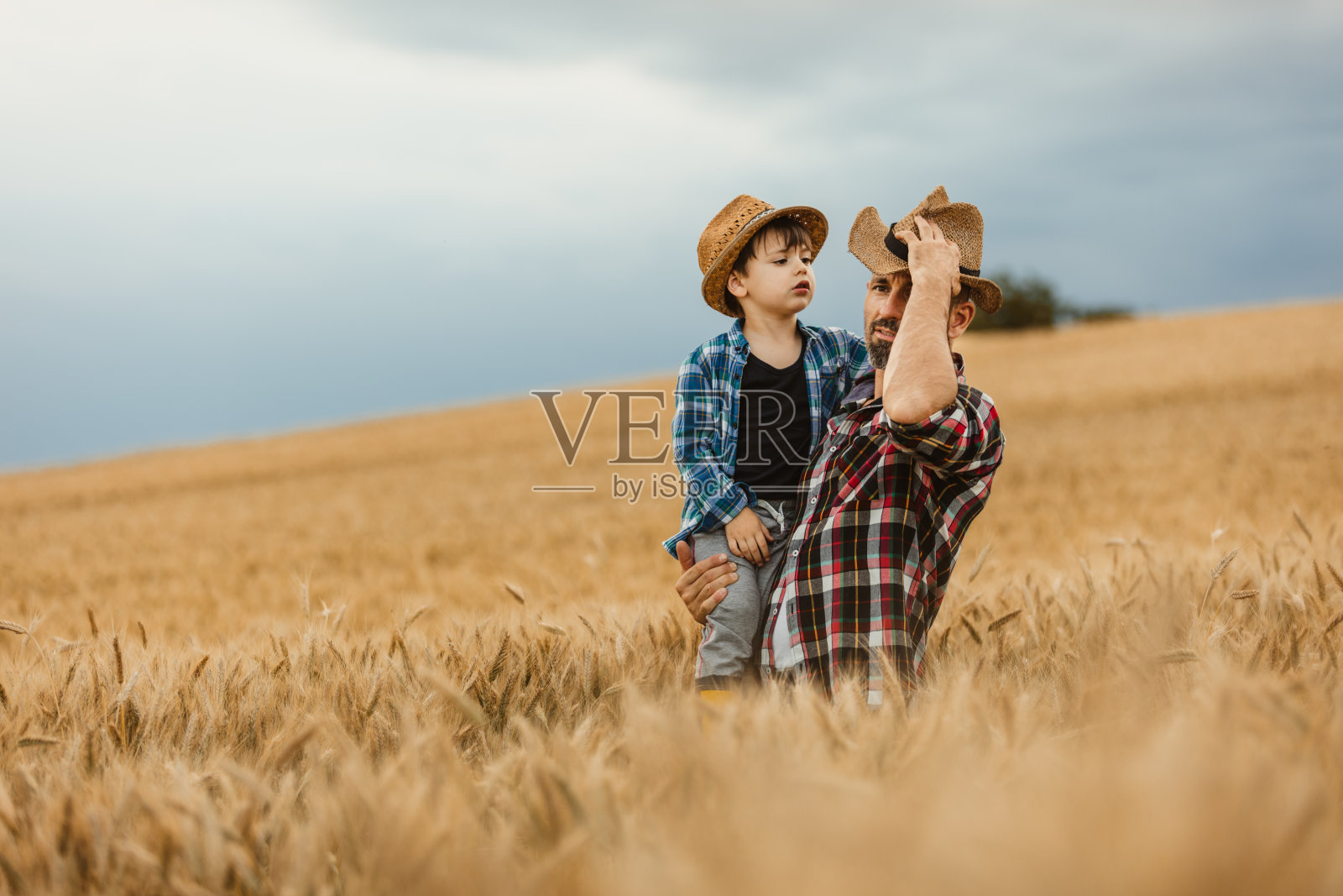 父亲抱着儿子，拿着帽子在麦田里照片摄影图片