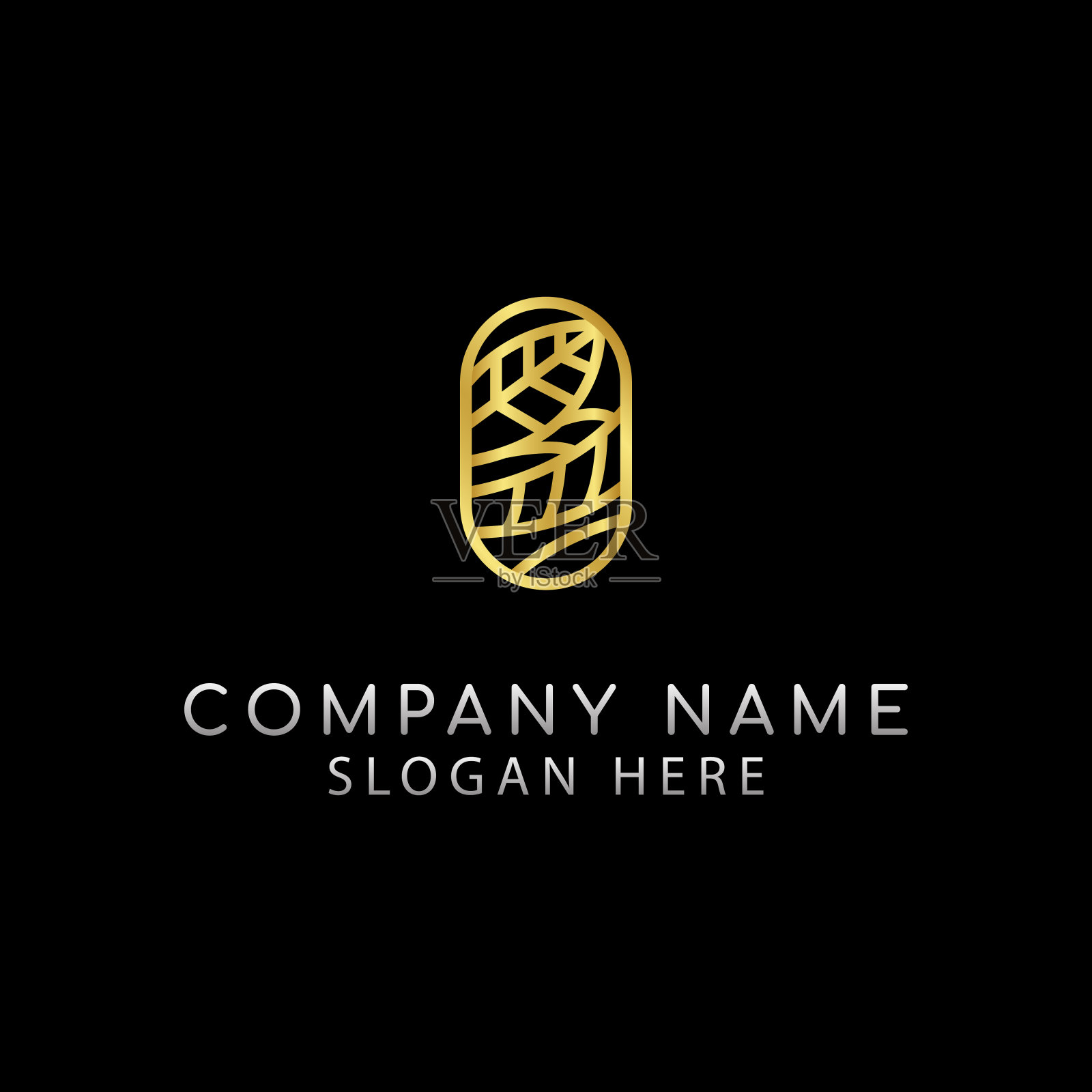 豪华抽象的标志。矢量标志模板插画图片素材