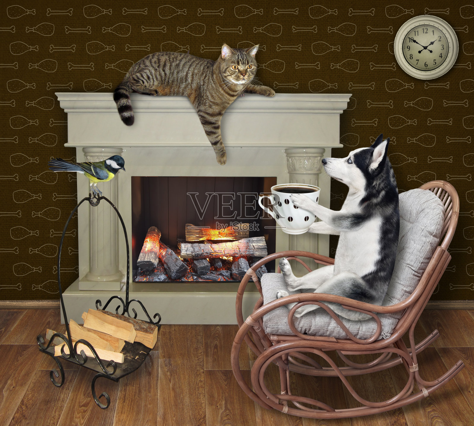 狗哈士奇和一杯咖啡在摇椅上照片摄影图片