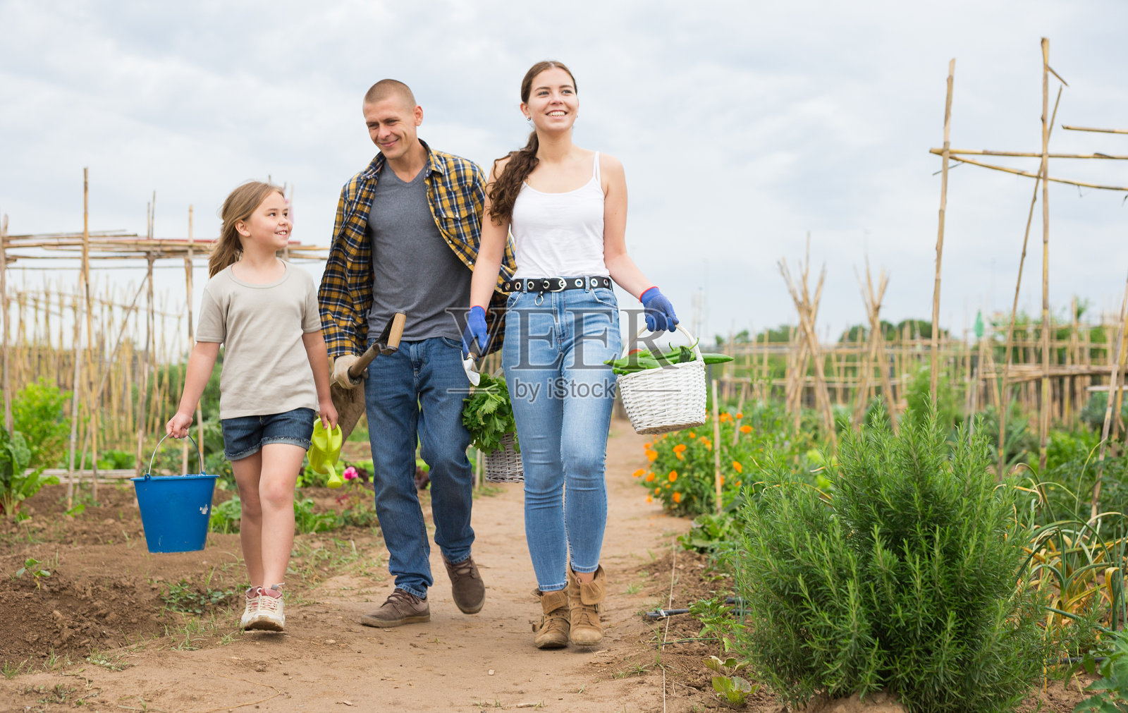 幸福的一家人走在田间劳作后的路上照片摄影图片