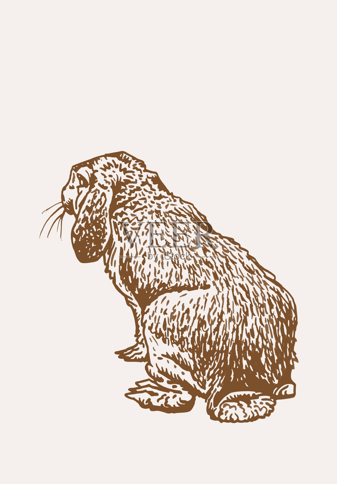 图形复古兔色插画图片素材