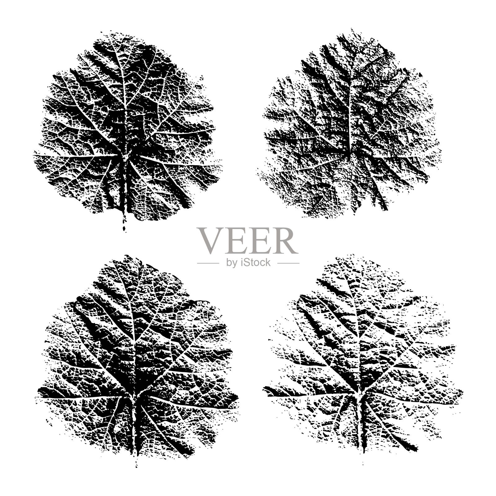 一套天然印记的草叶。植物集设计，图案，印刷，明信片。矢量插图。插画图片素材