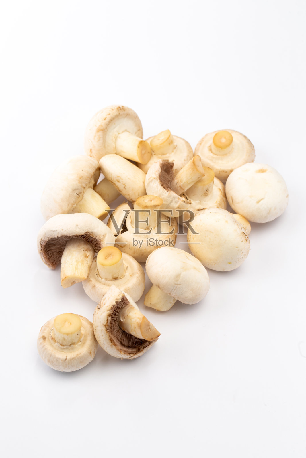 在工作室白色背景上的香槟蘑菇照片摄影图片