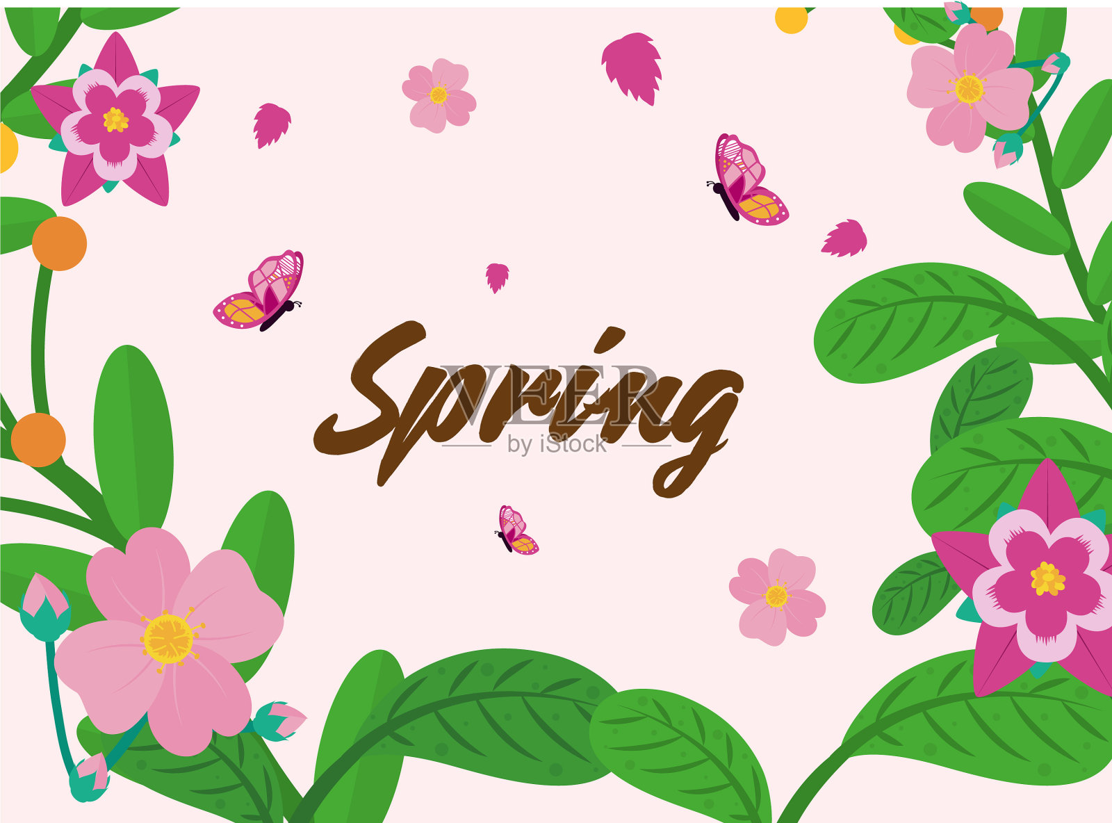 春天的花，叶，蝴蝶插画图片素材