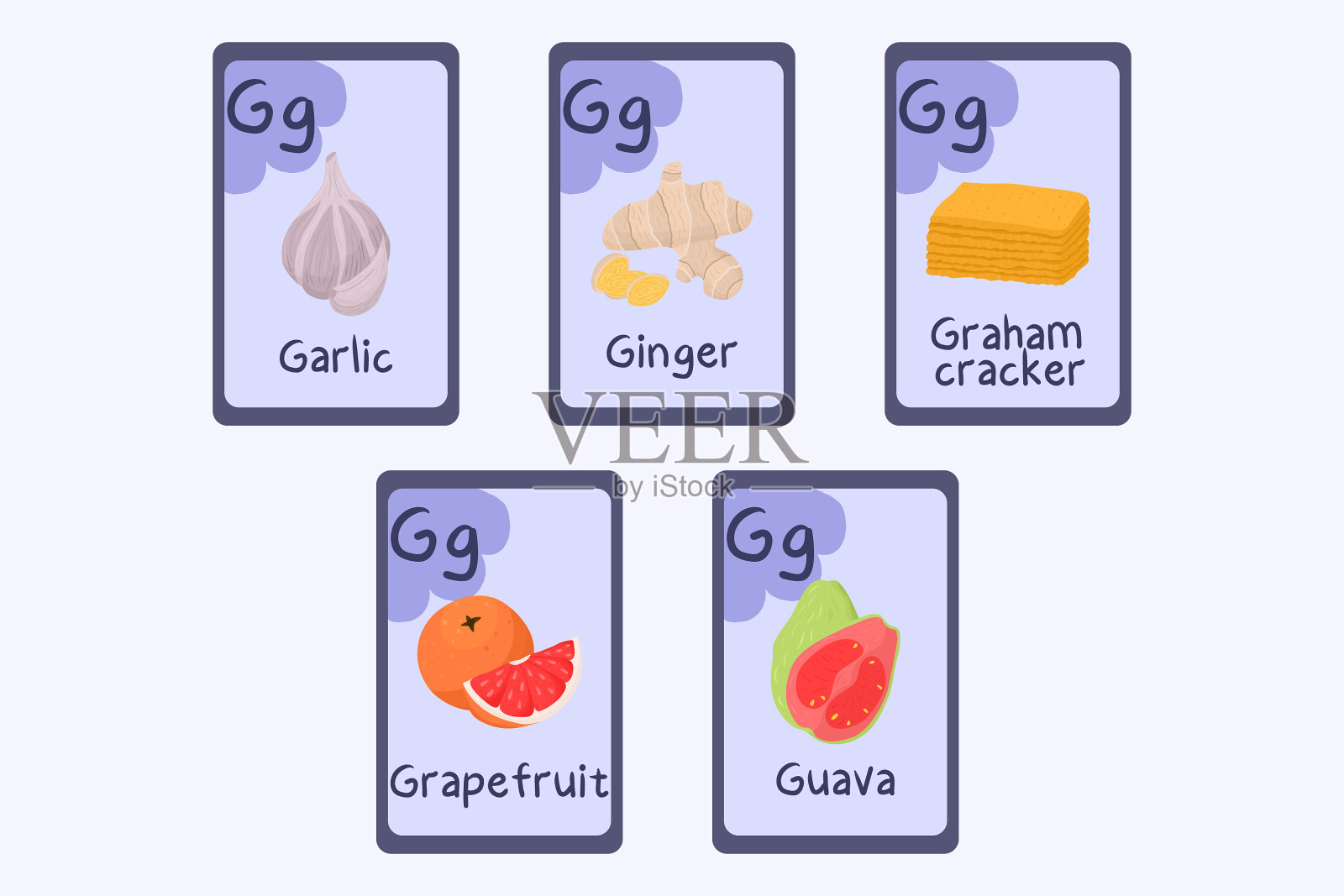 彩色拼字抽认卡字母g -大蒜插画图片素材