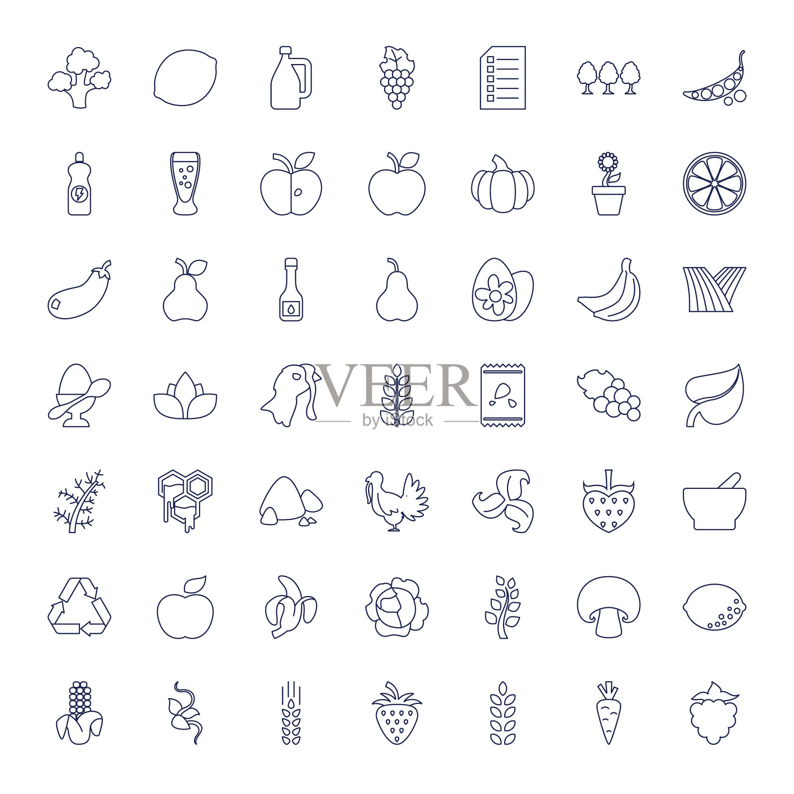 49有机图标图标素材