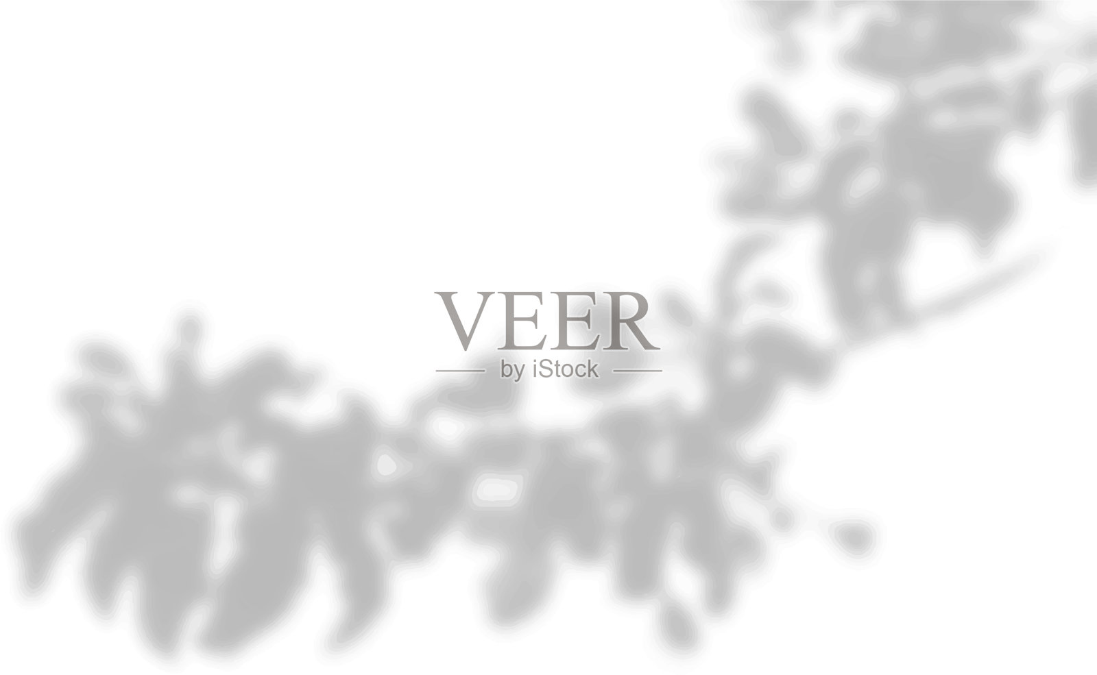 夏季背景植物阴影阴影插画图片素材