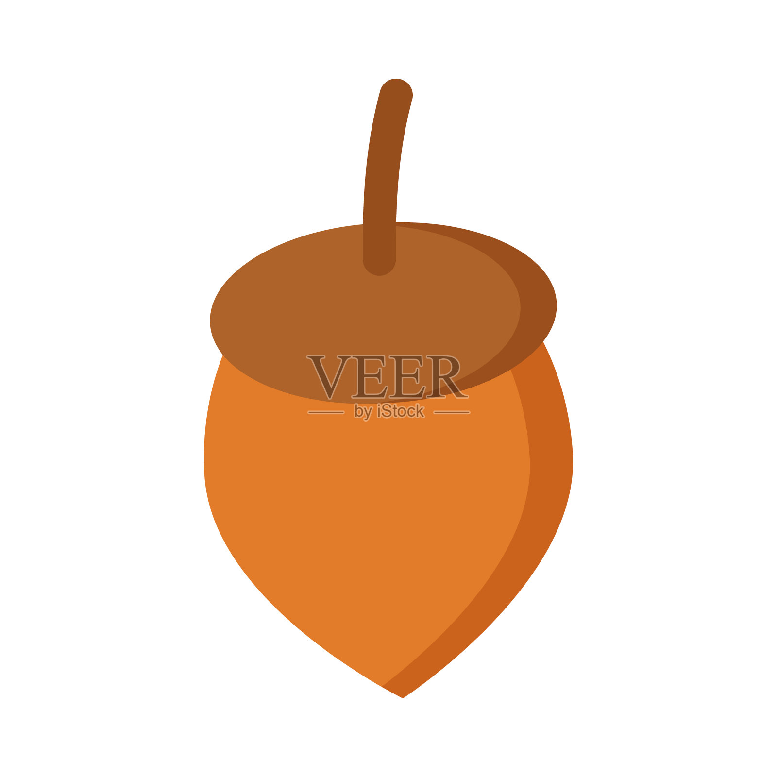 橡子特写在白色背景上使用剪贴画或网页设计设计元素图片