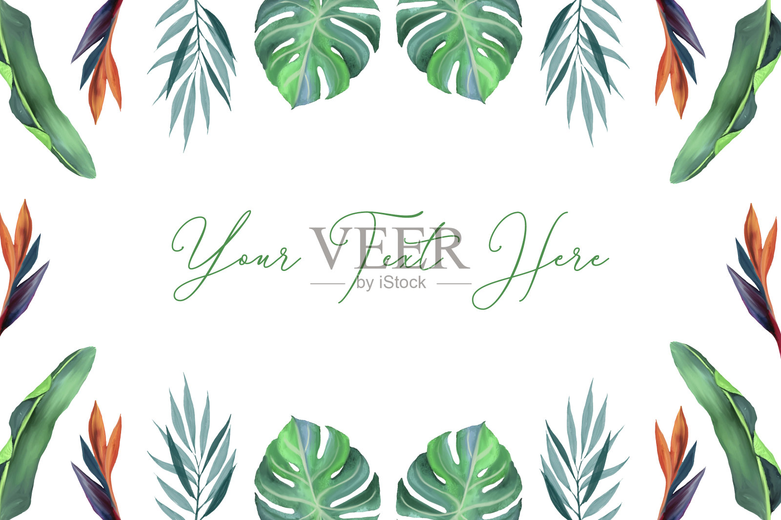 五颜六色的鲜花水彩插画图片素材