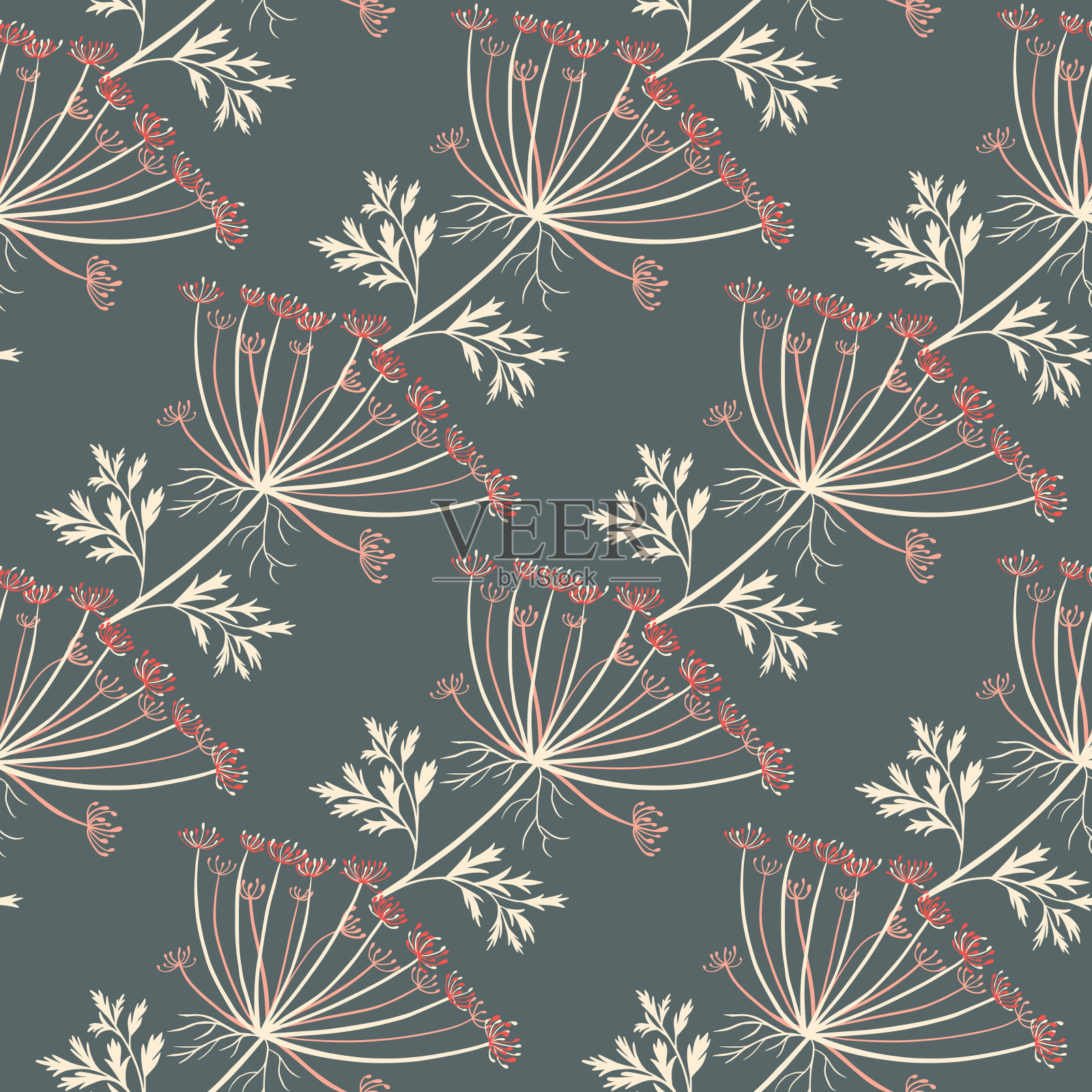 装饰无缝图案与小茴香伞植物元素。灰蓝色背景。手绘的风格。插画图片素材