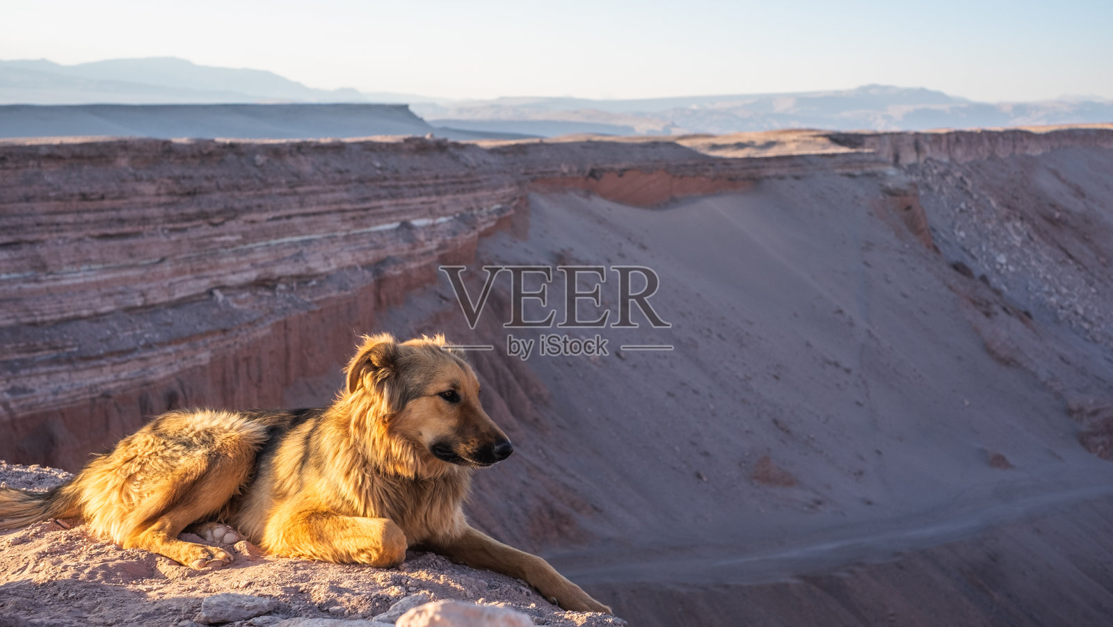 南美洲，玻利维亚，智利的沙漠景观照片摄影图片