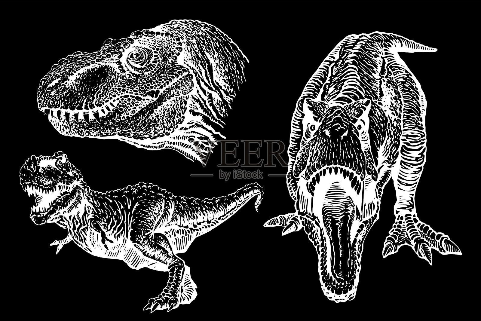 图形设置暴龙孤立在黑色插画图片素材