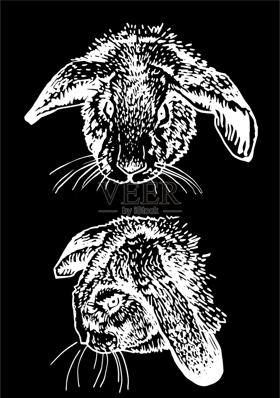 图形设定手绘家兔上插画图片素材