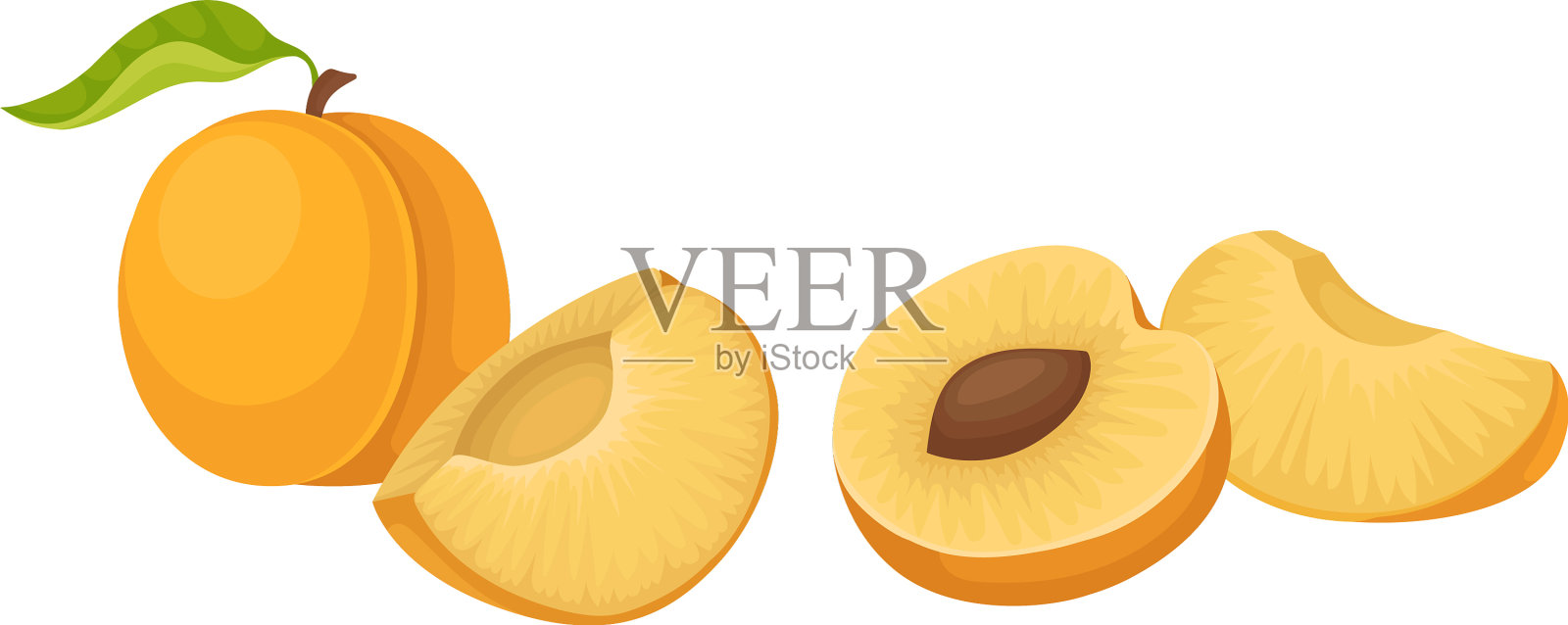 橙色圆形的杏核果，显示坚实插画图片素材