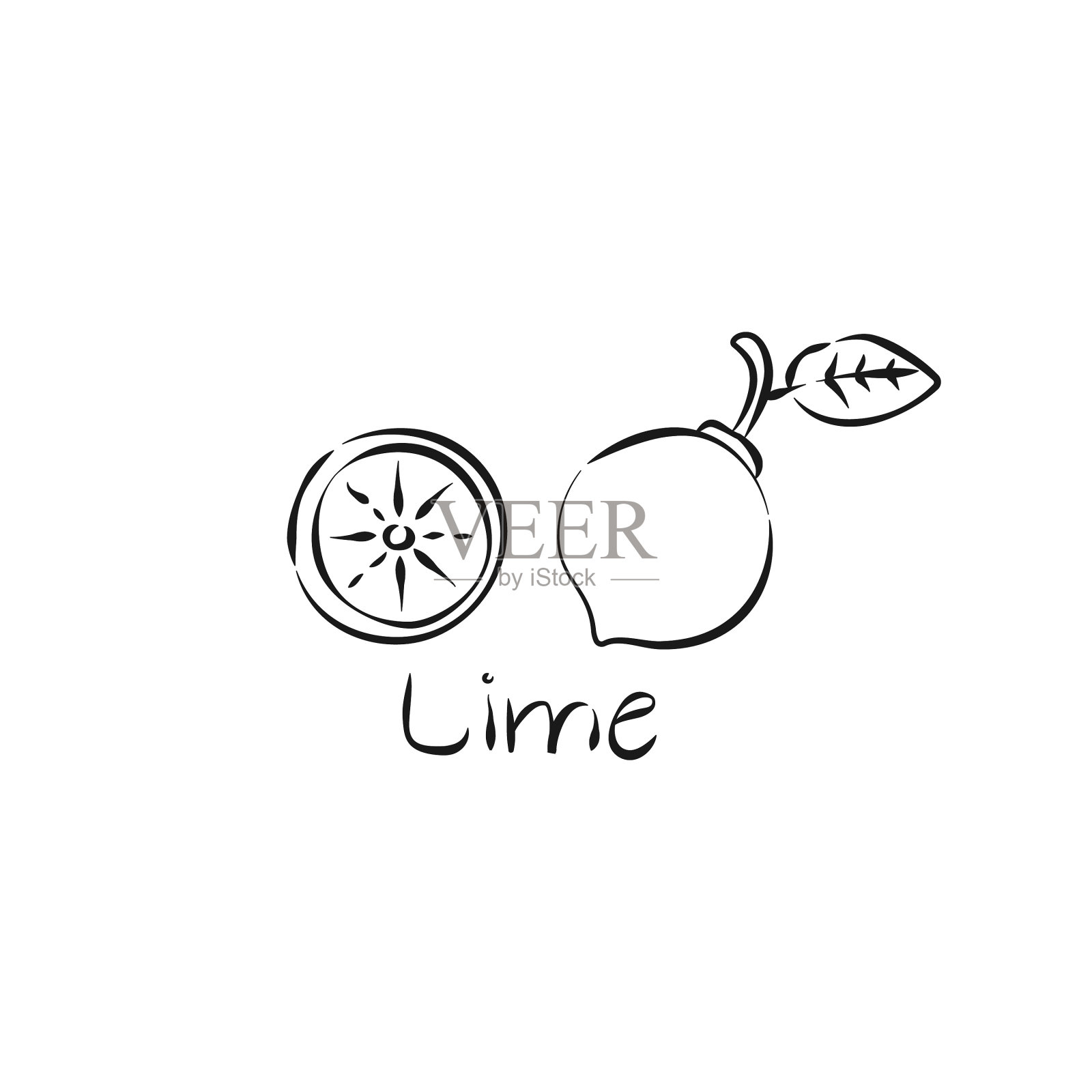 青柠手画水果在复古风格的白色插画图片素材