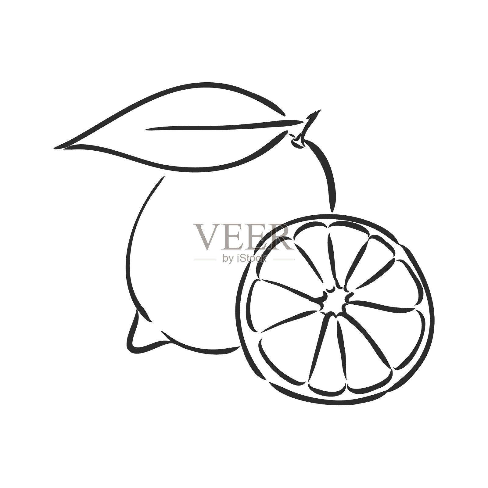 手工绘制柠檬片片在光的背景插画图片素材