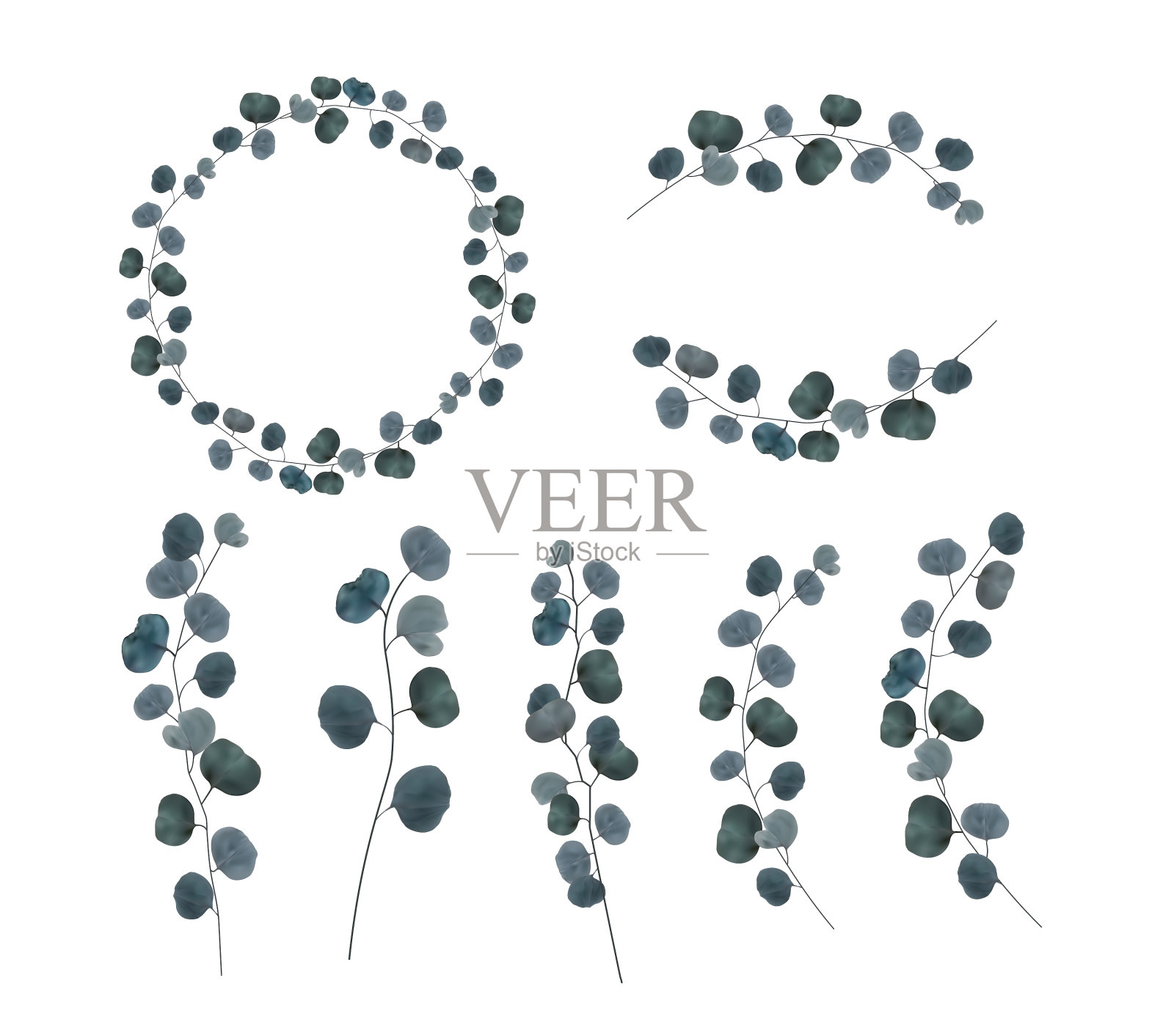 集合了逼真的自然枝叶插画图片素材