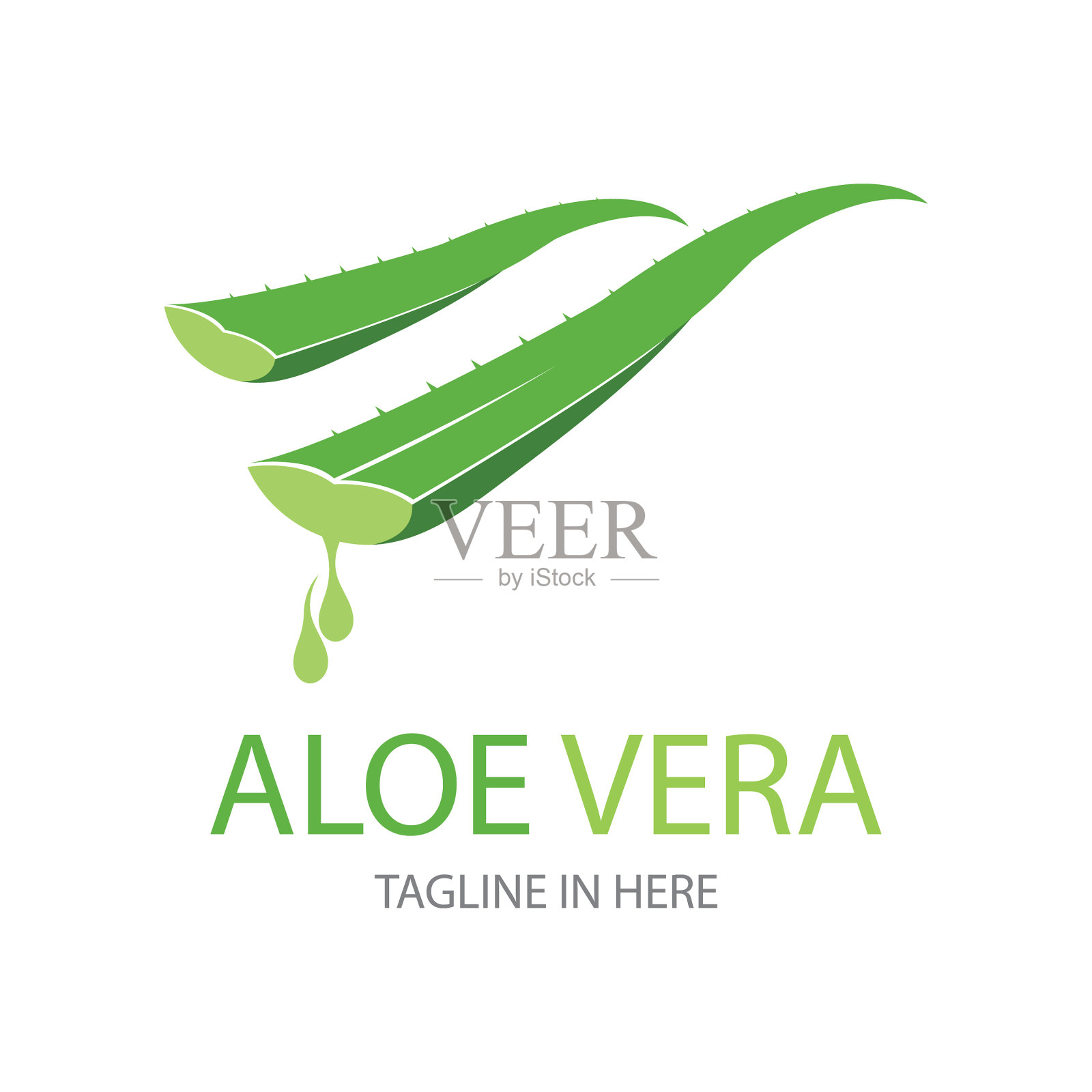 芦荟标识插图设计模板插画图片素材