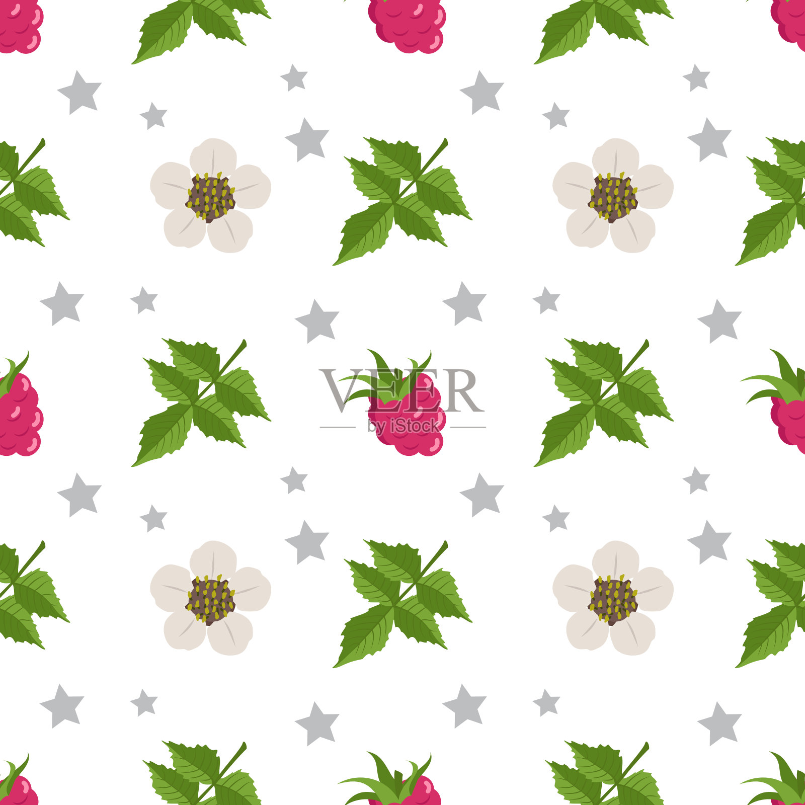 无缝模式与覆盆子，花和叶插画图片素材