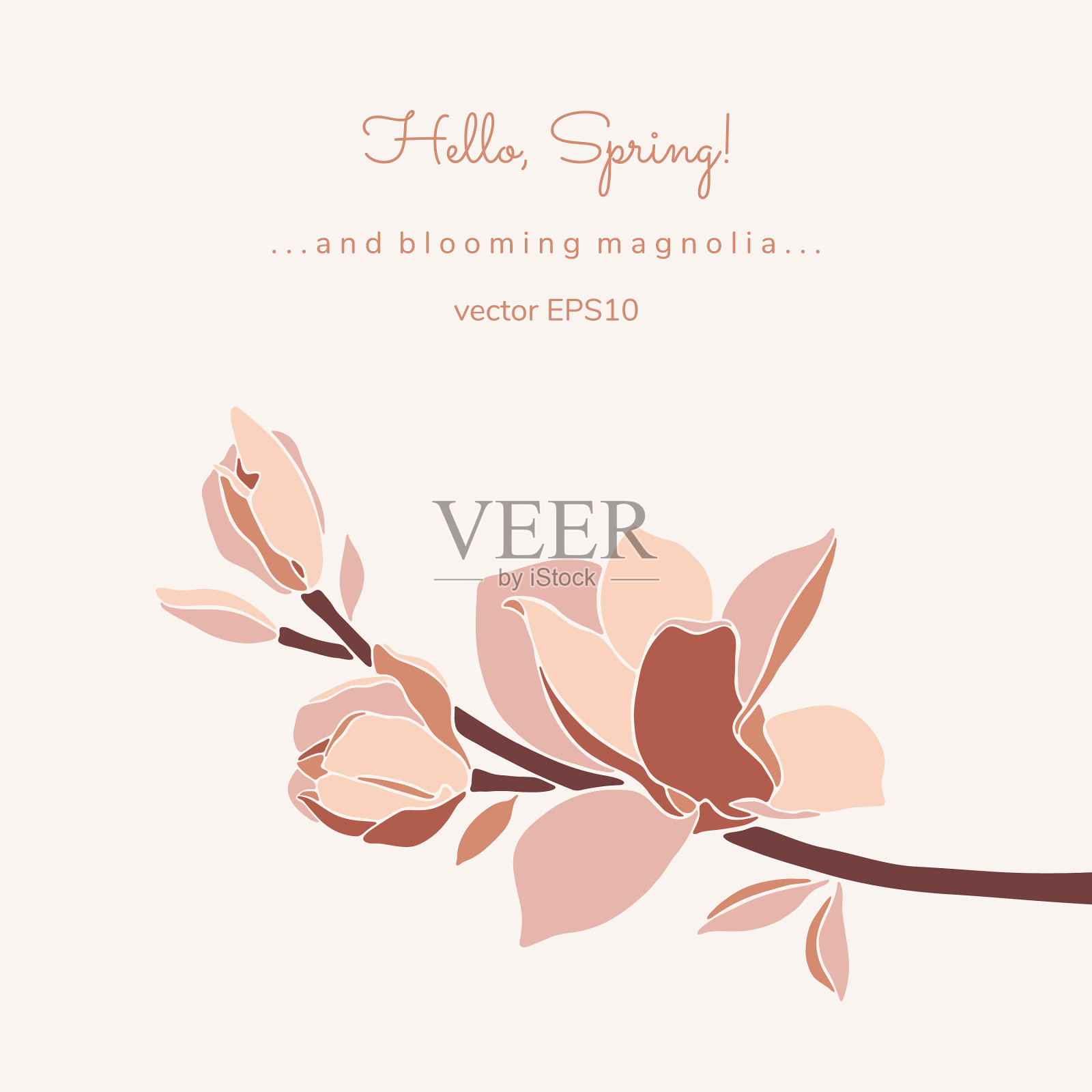 白玉兰枝粉彩调米色插画图片素材