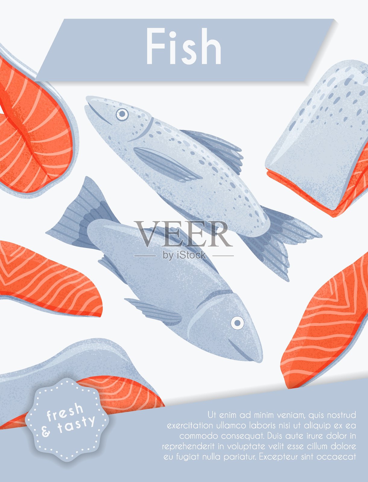 新鲜美味的三文鱼海鱼与鱼片矢量手绘海报设计。插画图片素材