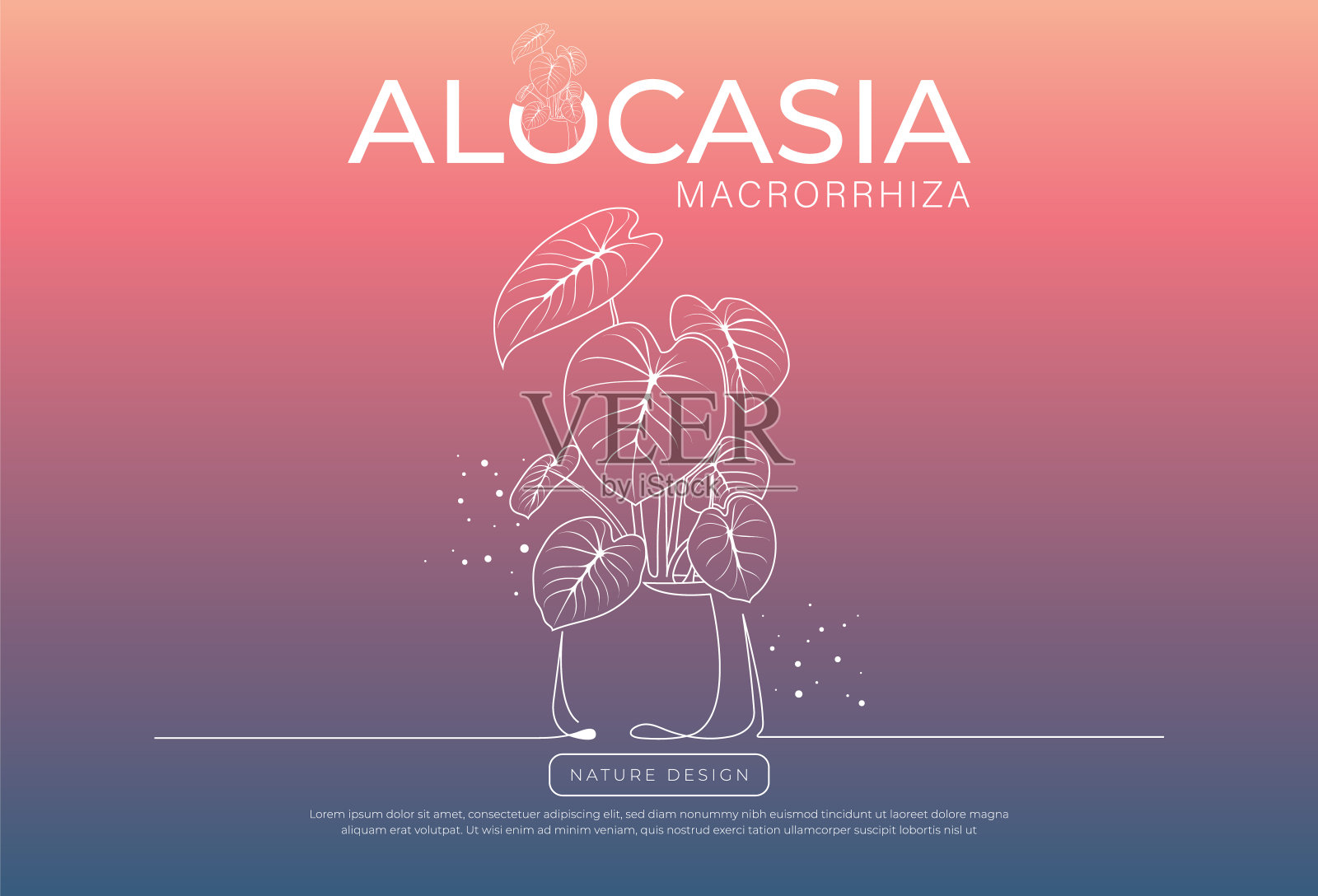 盆栽室内盆栽病媒植物。背景彩色粉笔的病媒线形素描植物盆栽插图。概念手绘设计装饰明信片，贴纸，海报，横幅插画图片素材