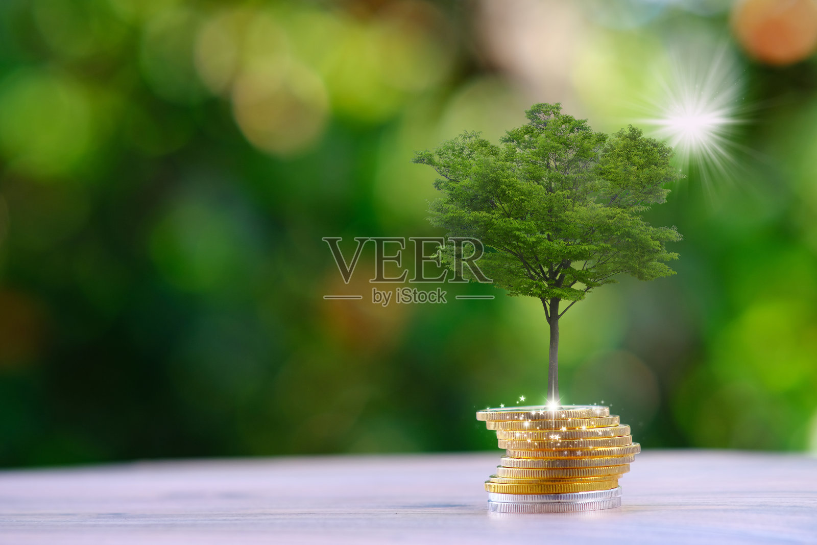 植物生长在储蓄硬币和业务增长概念，金融和投资概念照片摄影图片