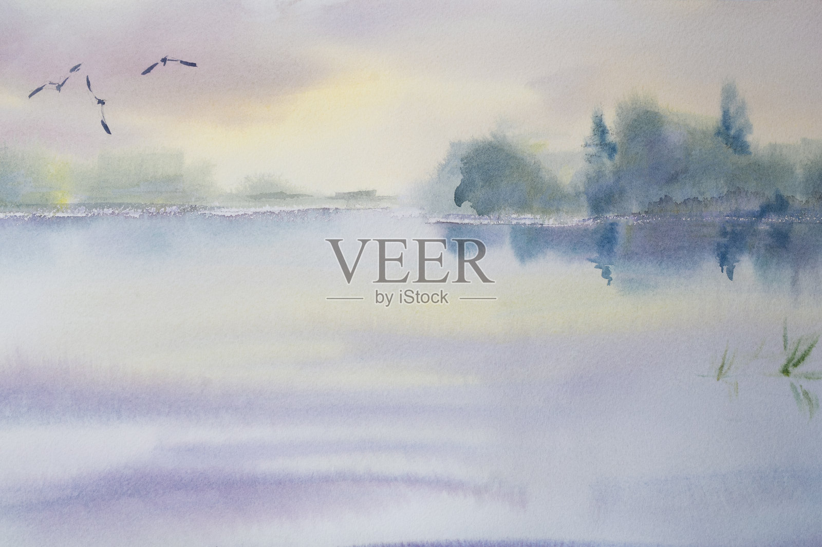 水彩温柔的早晨景观与一个湖和海鸥插画图片素材