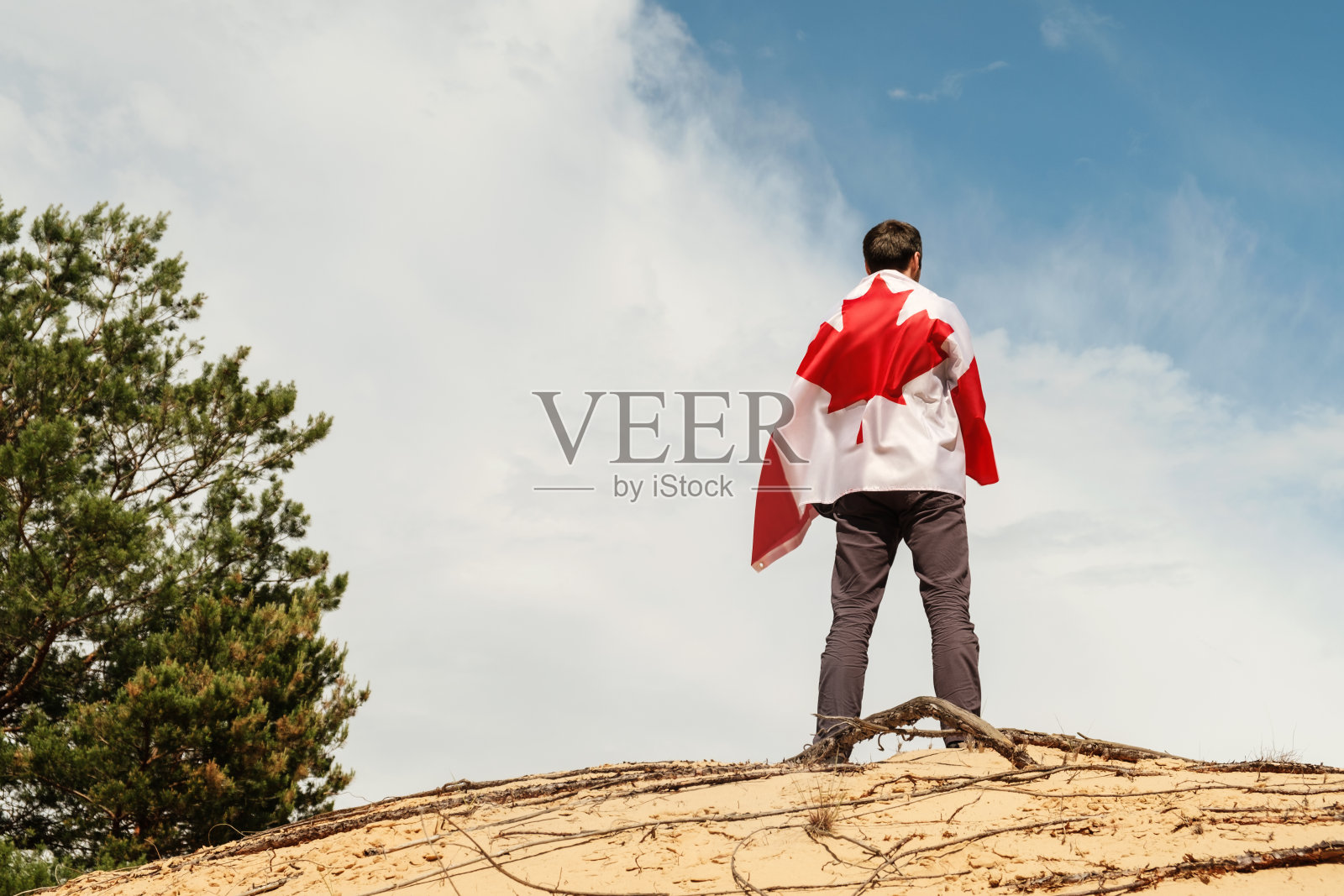 一个拿着加拿大国旗的男人站在沙滩上，背景是天空。照片摄影图片