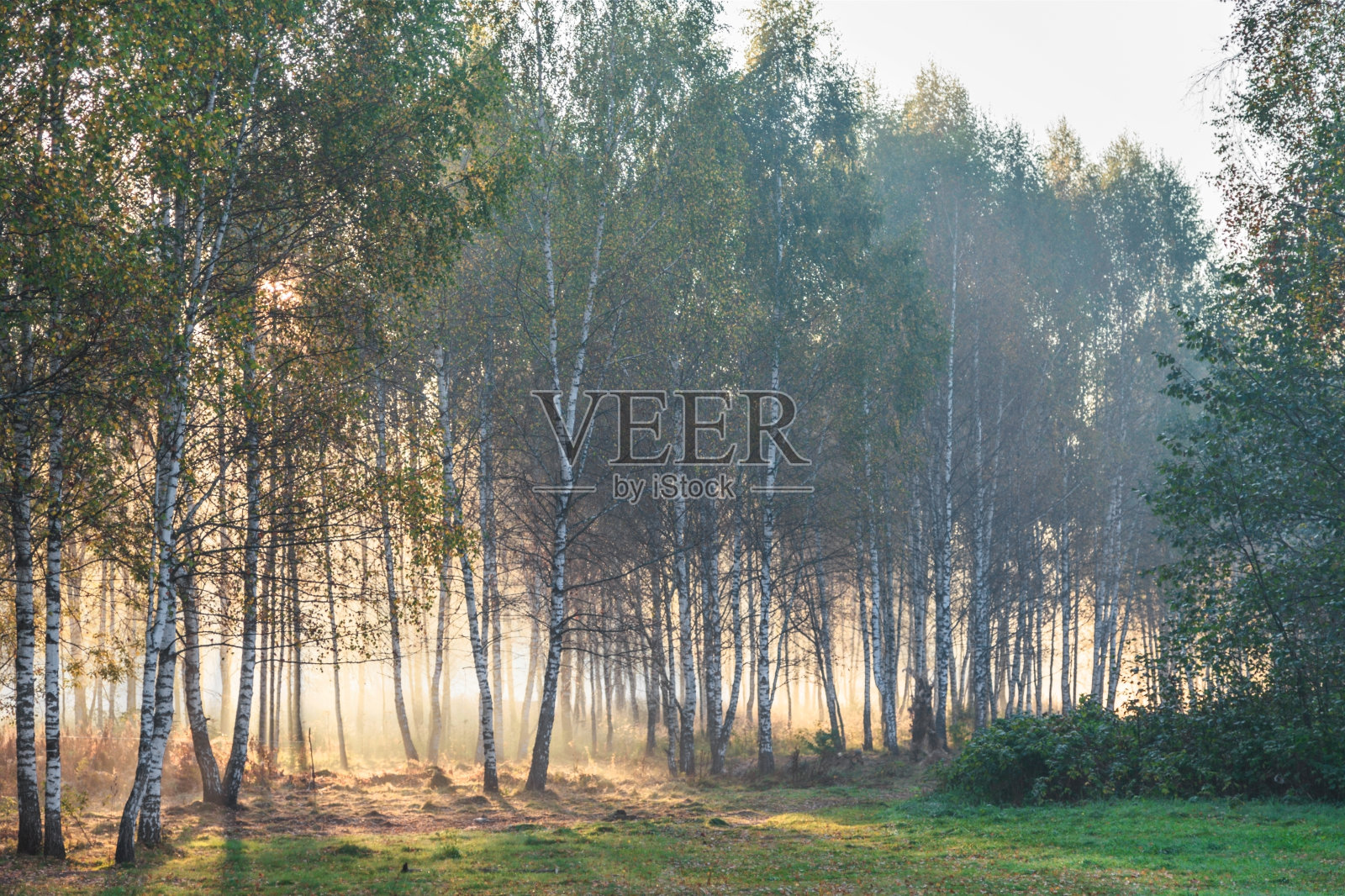 秋天的风景照片摄影图片