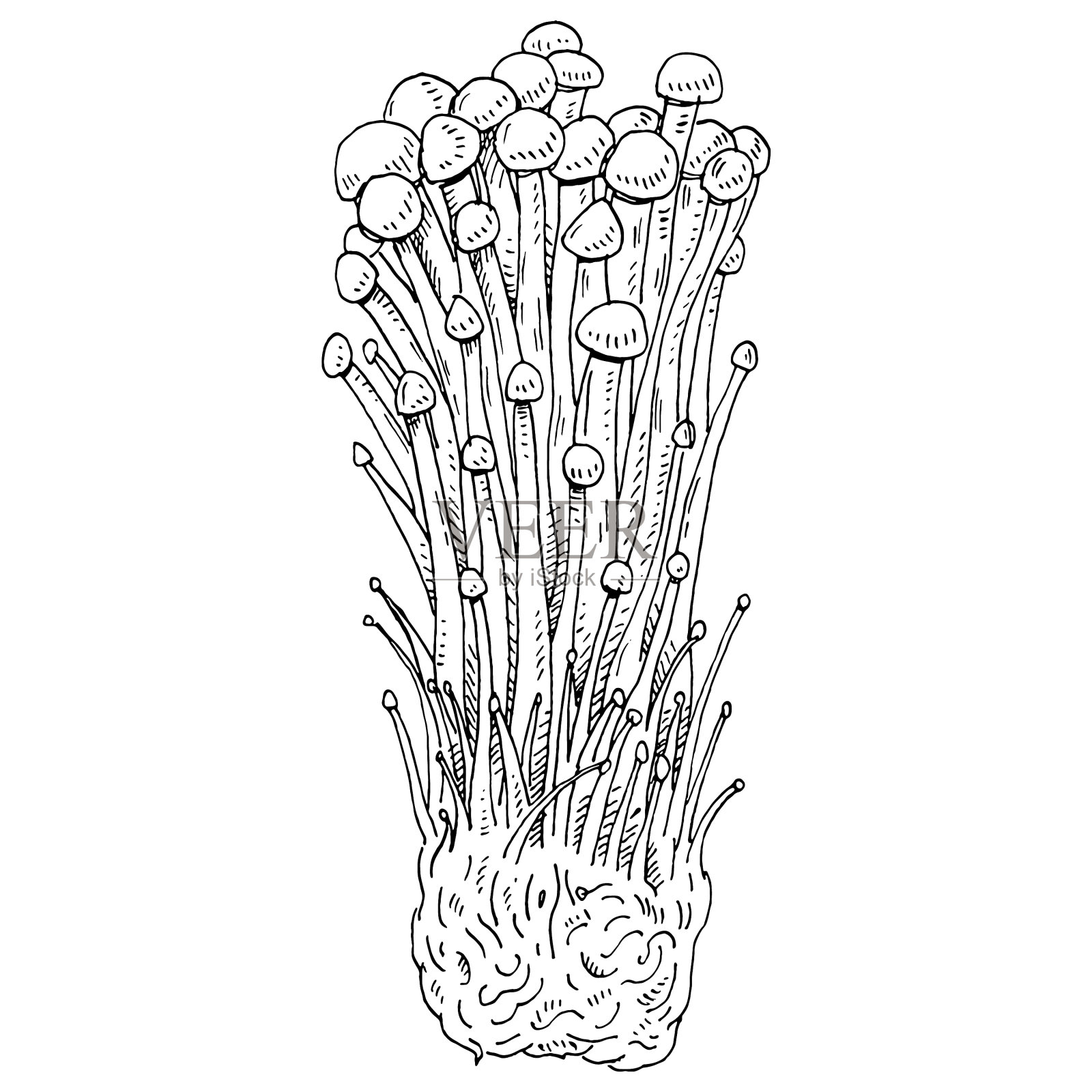 野木生长在蘑菇农场的年份设计元素图片