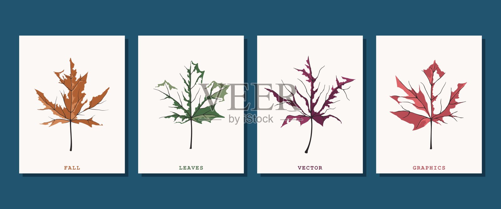 37、凋零的老秋枫叶。矢量艺术插画图片素材